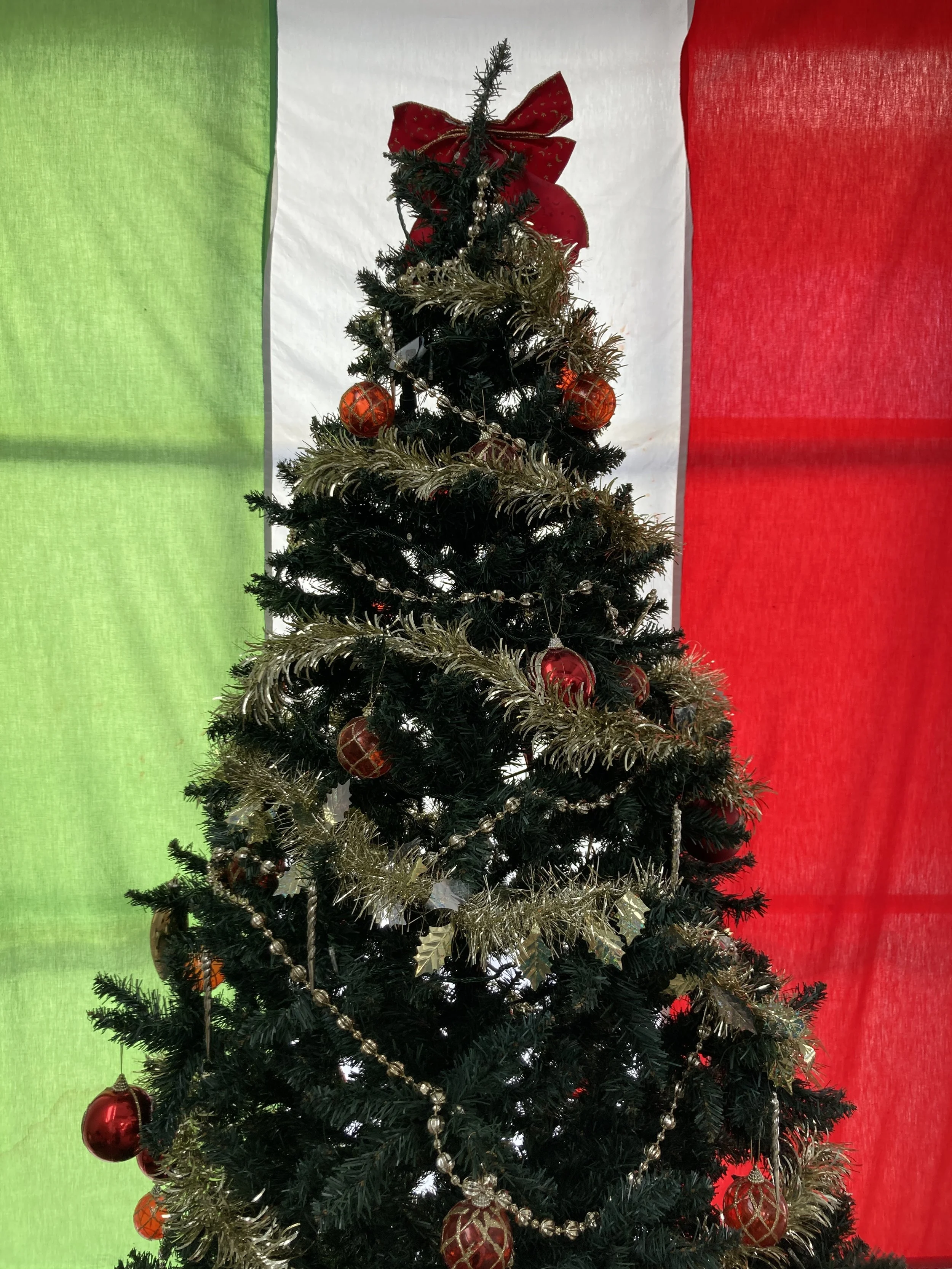 🎄はじまりました🎄