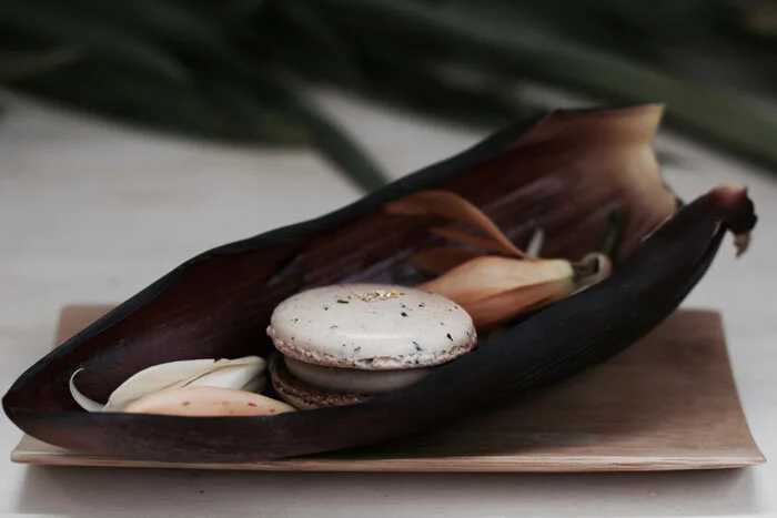 FullSizeRender 2.jpg