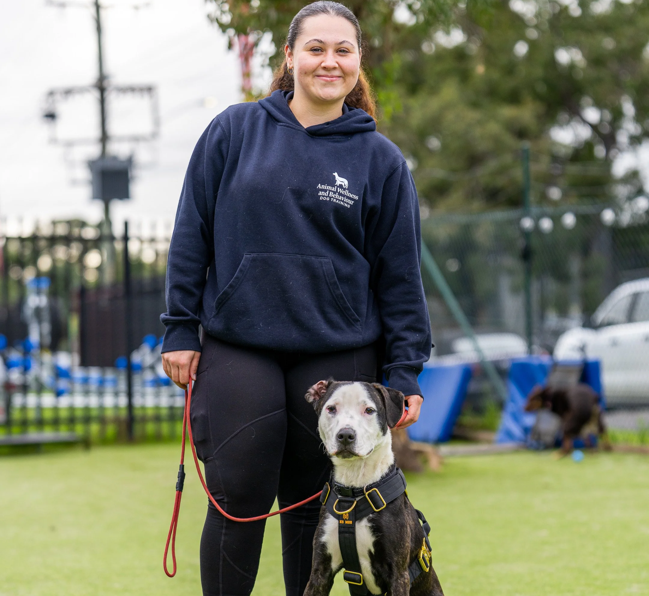 A woman with brown hair tied back, wearing a navy hoodie with 'Animal Wellness and Behavior Dog Training' printed on it, standing outdoors in a grassy area with trees and people in the background. She is holding the leash of a black and white dog with a short coat, standing closely in front of her.