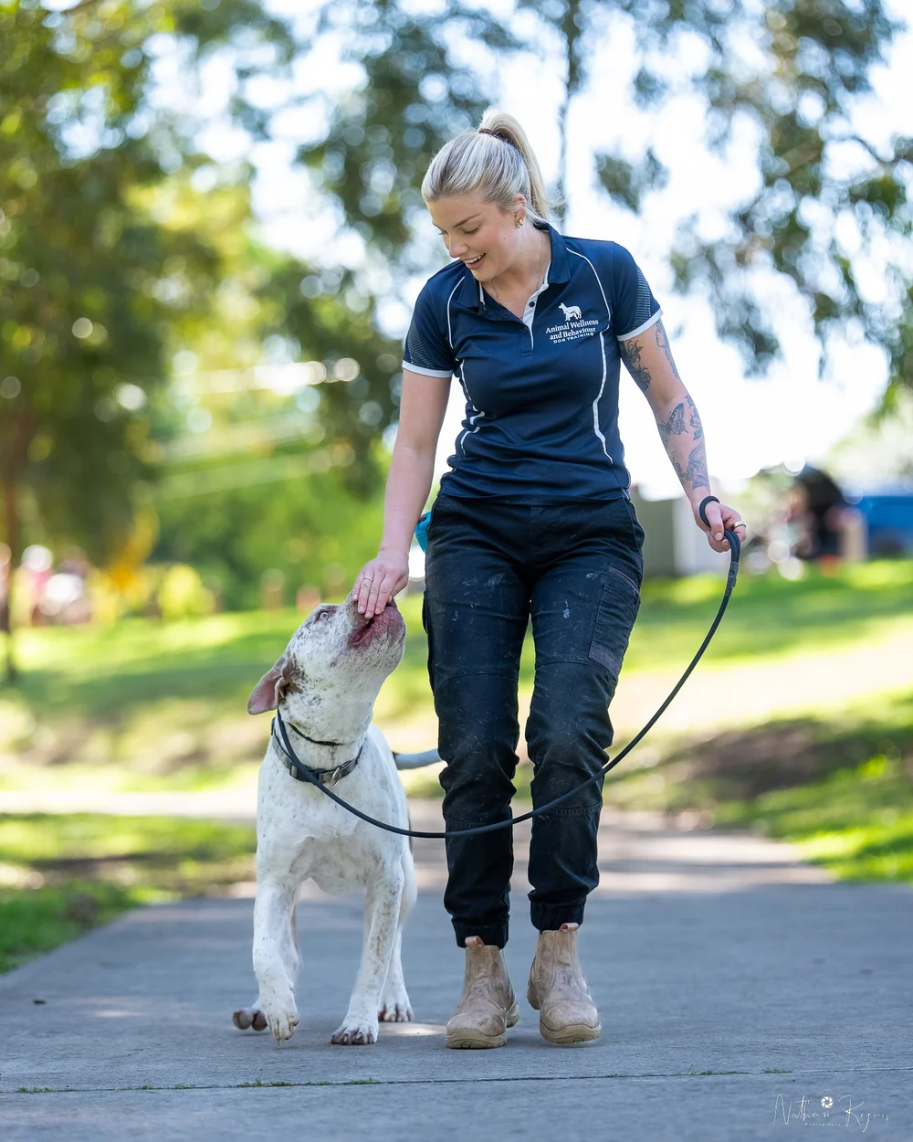 AW&B DOG TRAINING - dog training