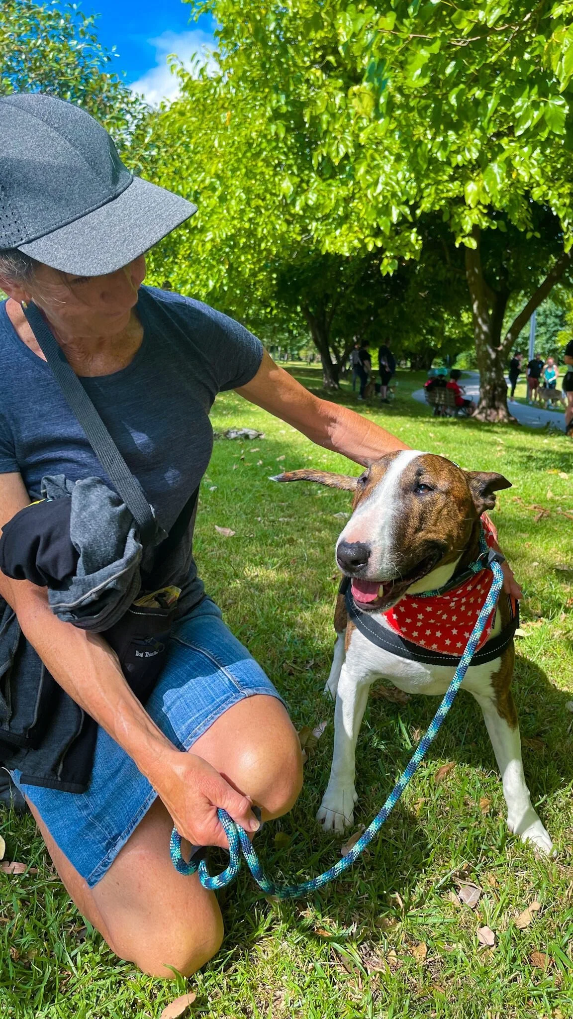 Animal Wellness and Behaviour dog training