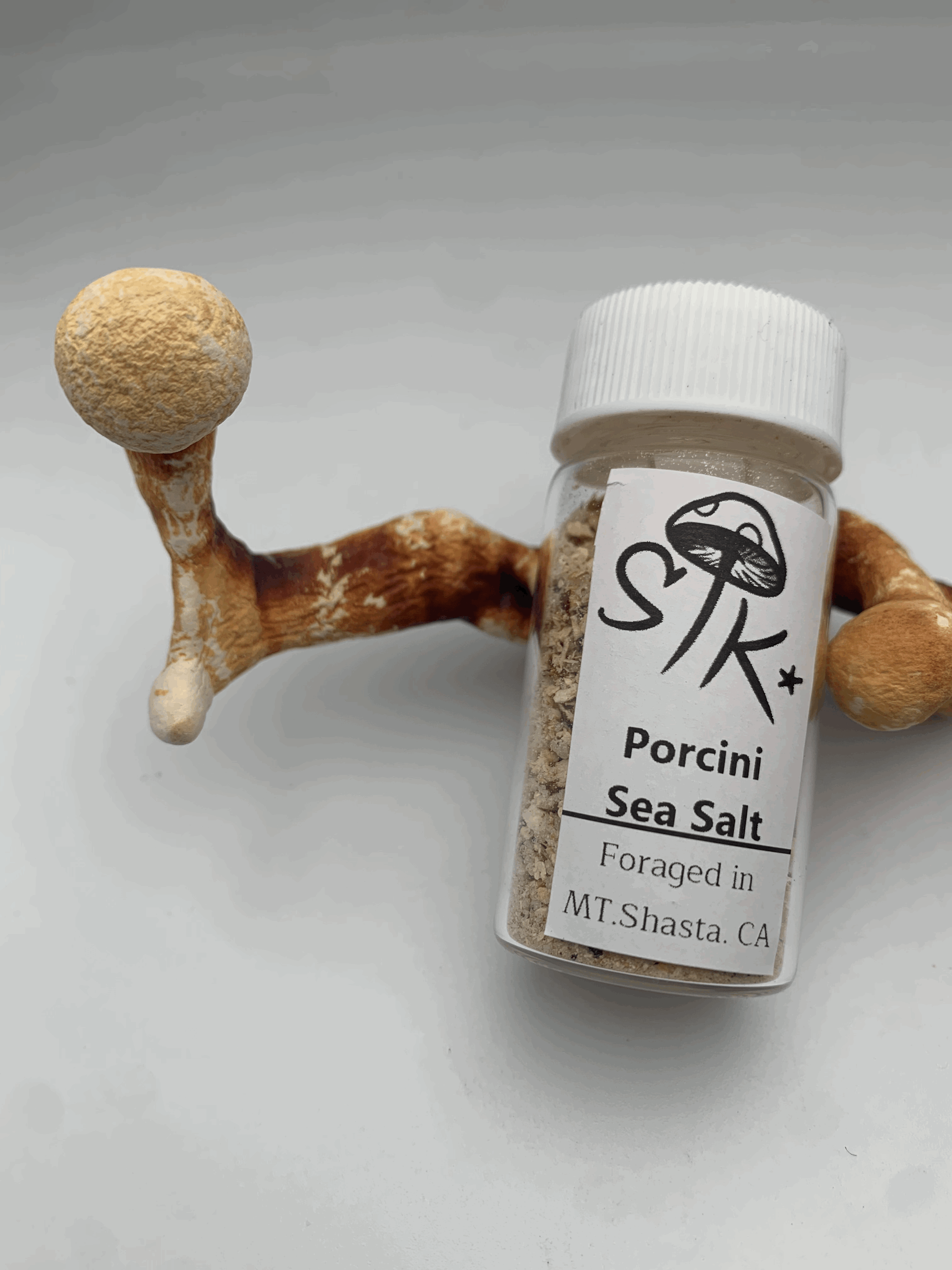 Porcini Blend