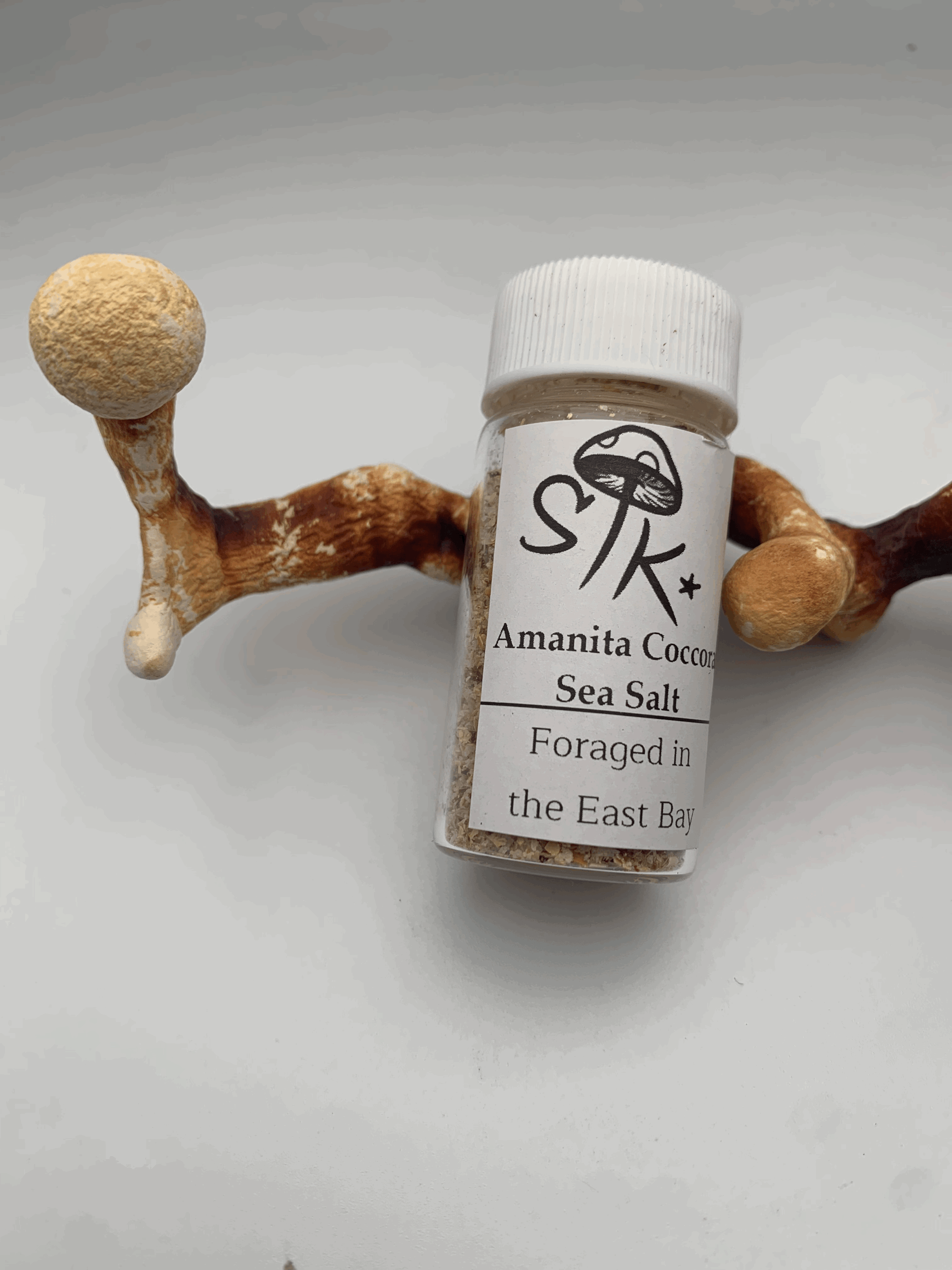 Amanita Coccora Blend