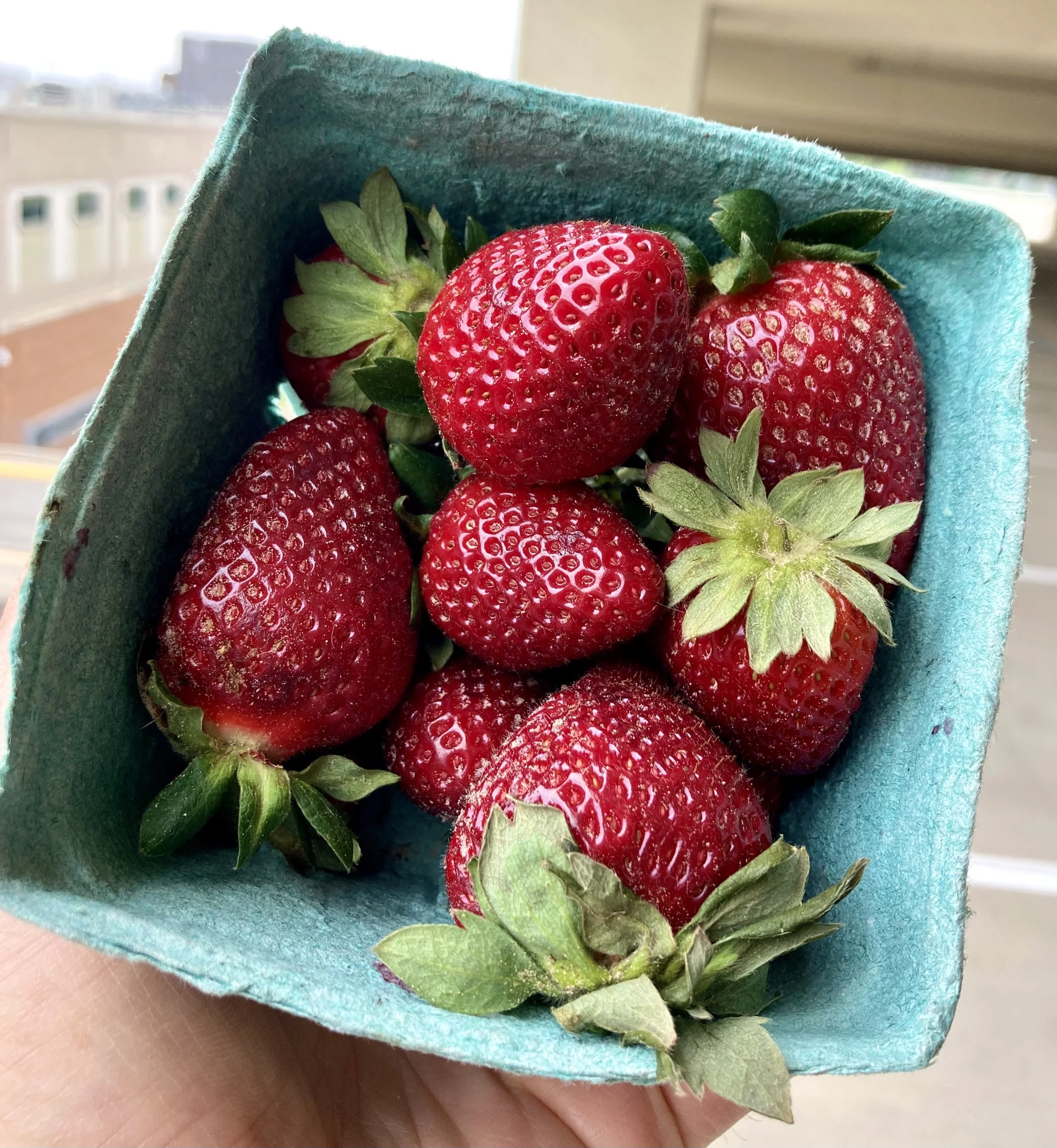 CSA_Strawberries.jpg