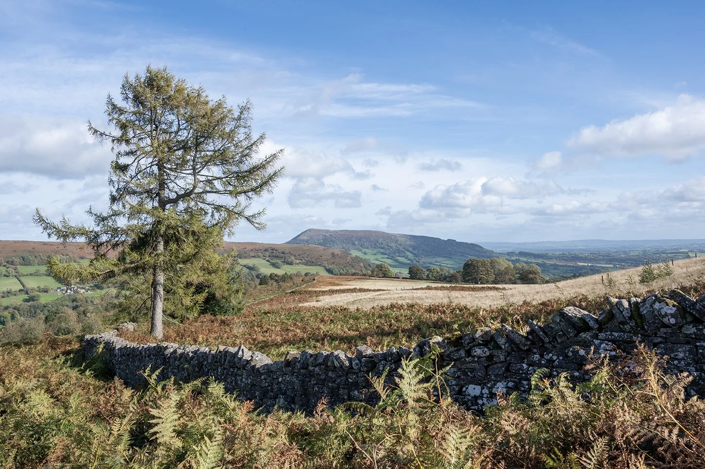 Wonderful walking on the doorstep