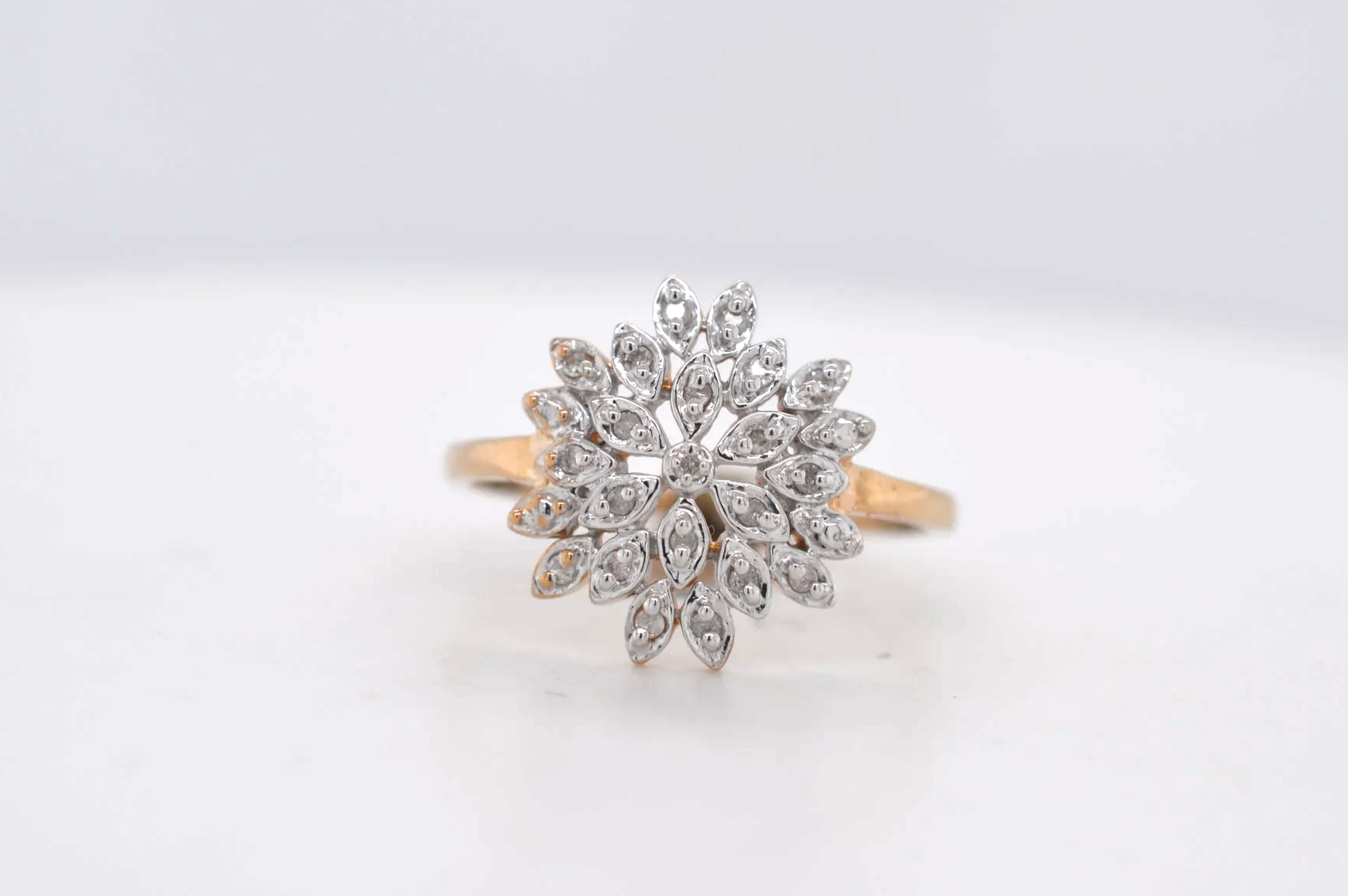 9ct Diamond Flower Cluster Price Band B (£250 - £500) EO20