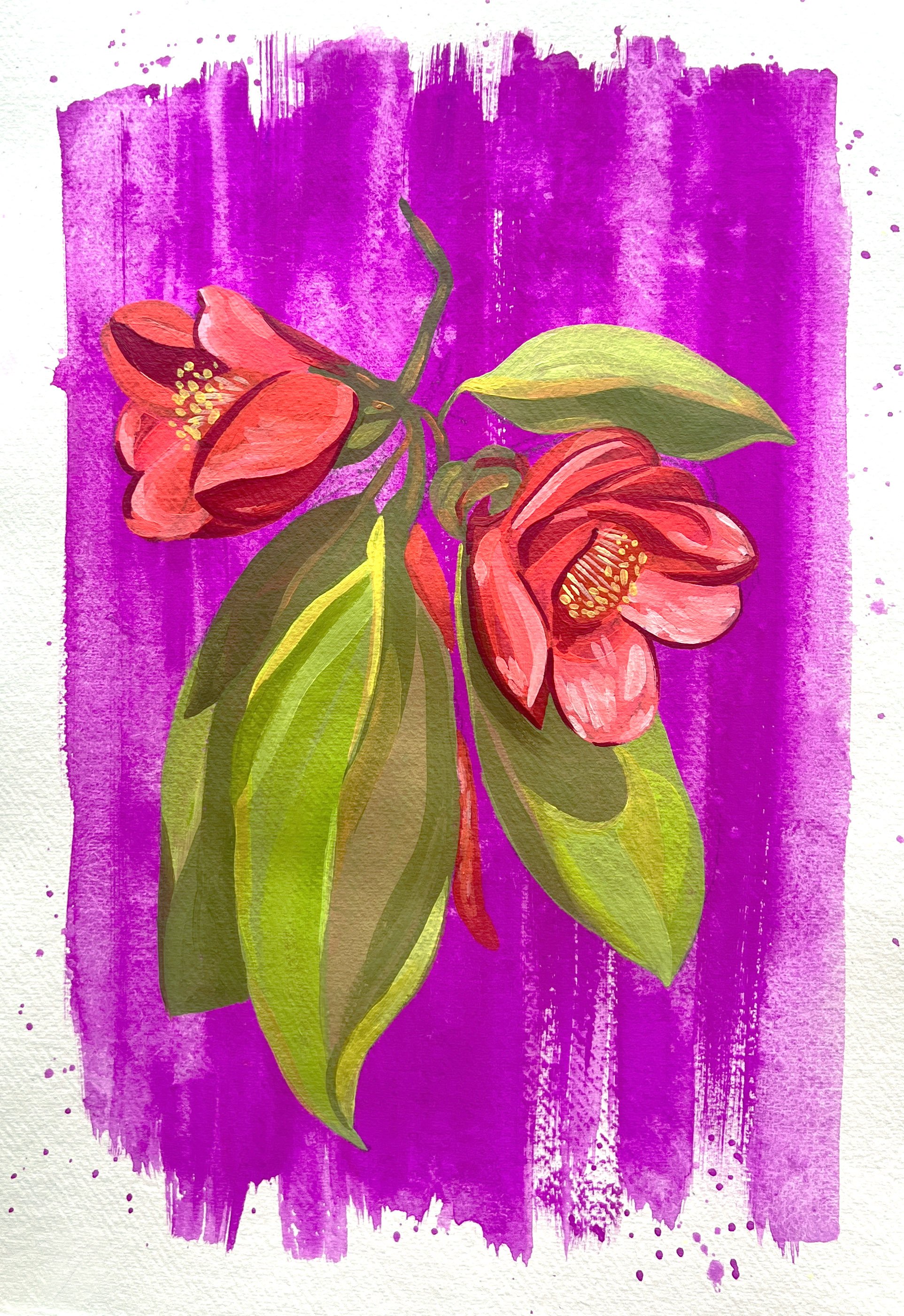 Clematis.jpg