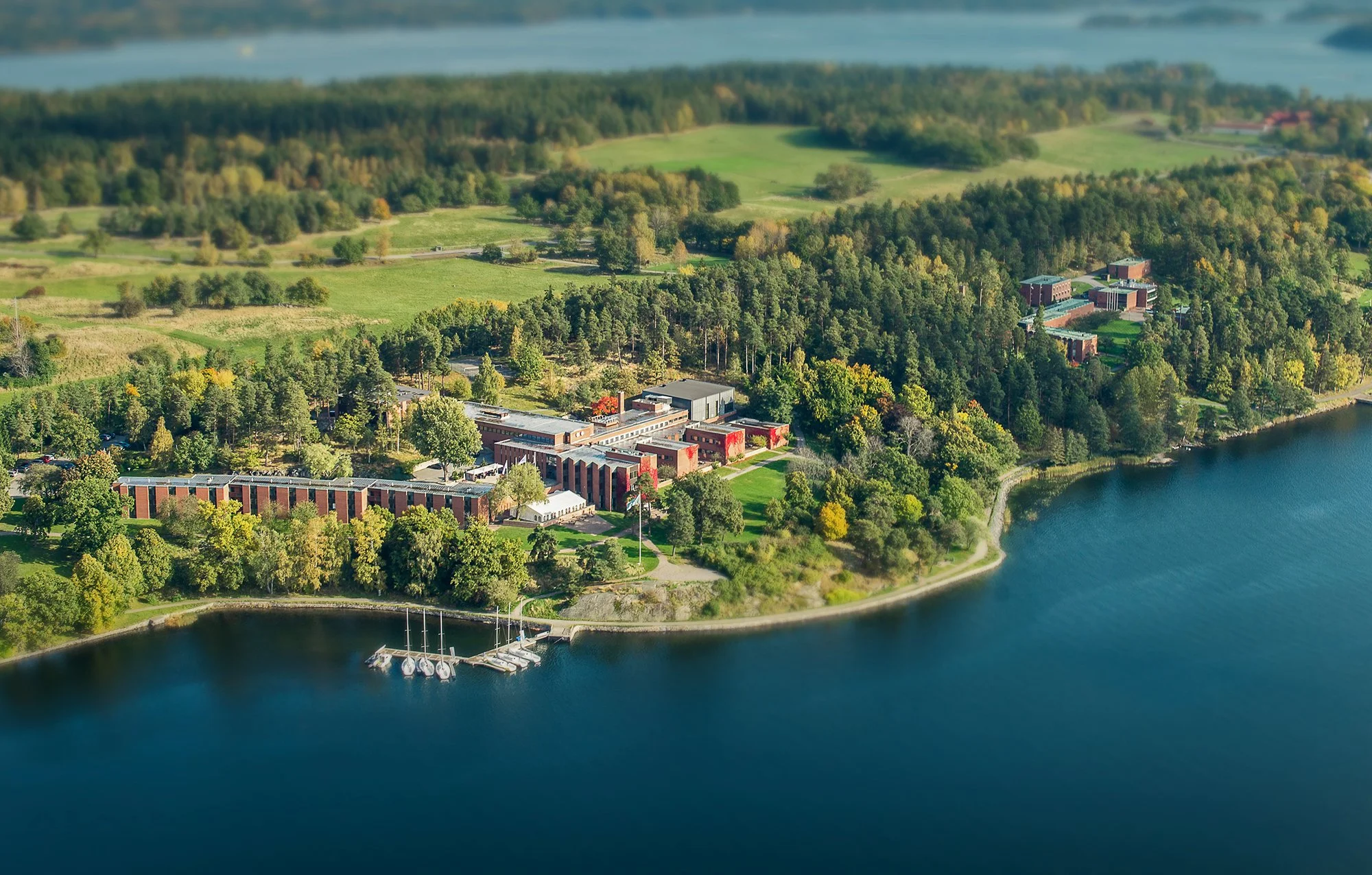 The Human Element® International Update &amp; Encounter 