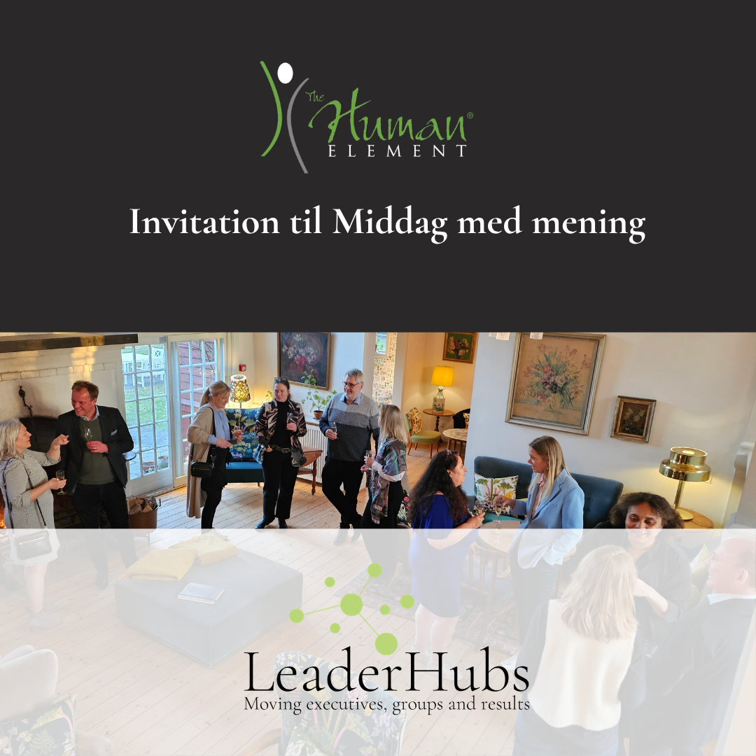 Invitation til middag med mening cover.png