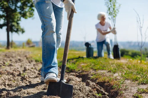 Tree planting on the Elmhurst &amp; Catherine Way estate