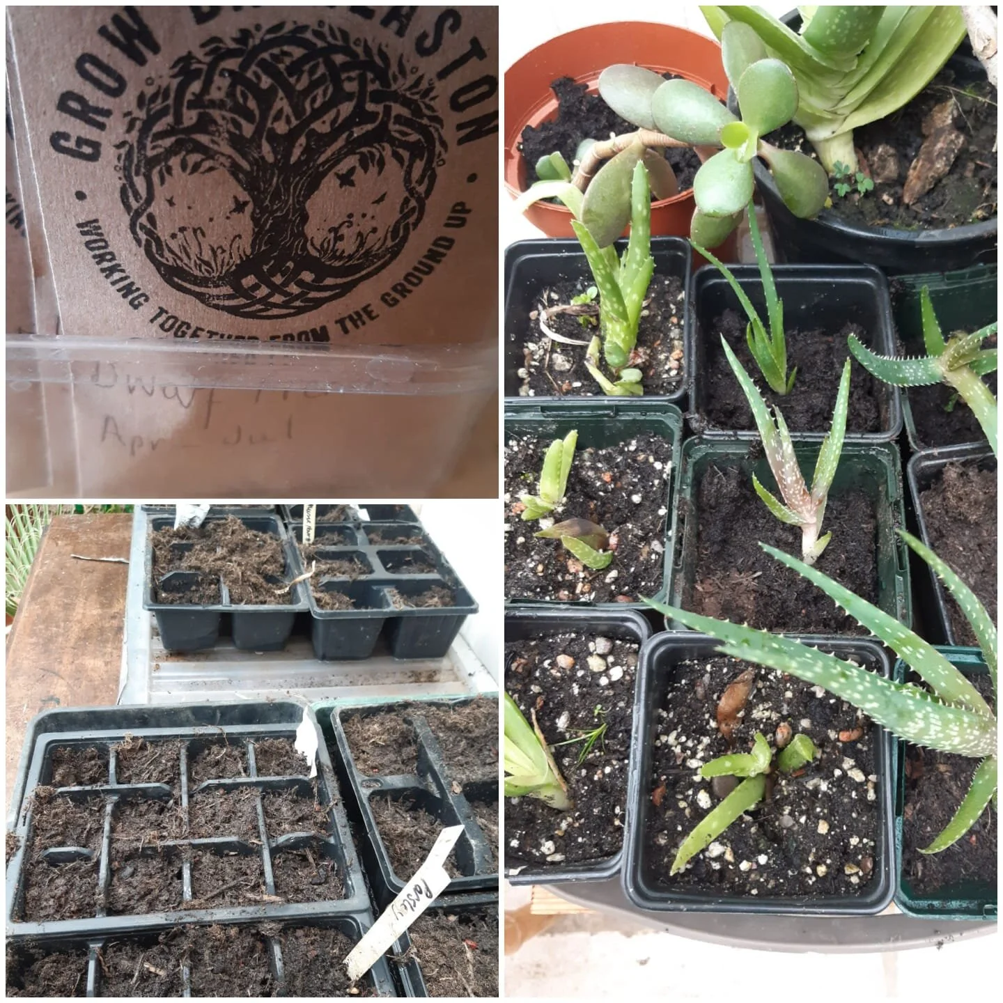 Growers Club Meeting