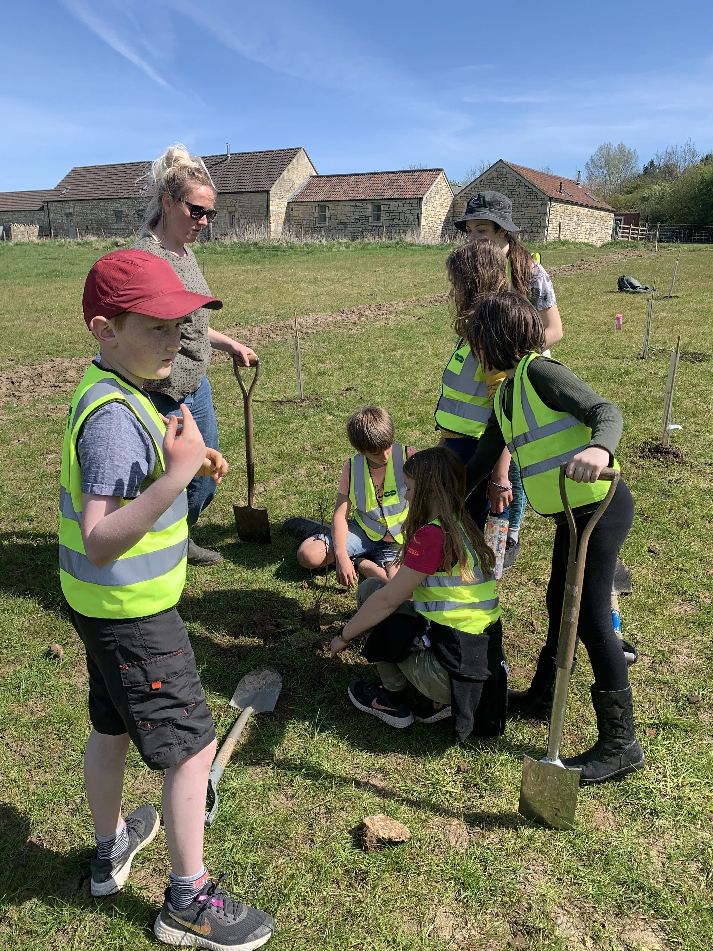 30 Oak saplings planted by the children from Oak class - Batheaston Church School