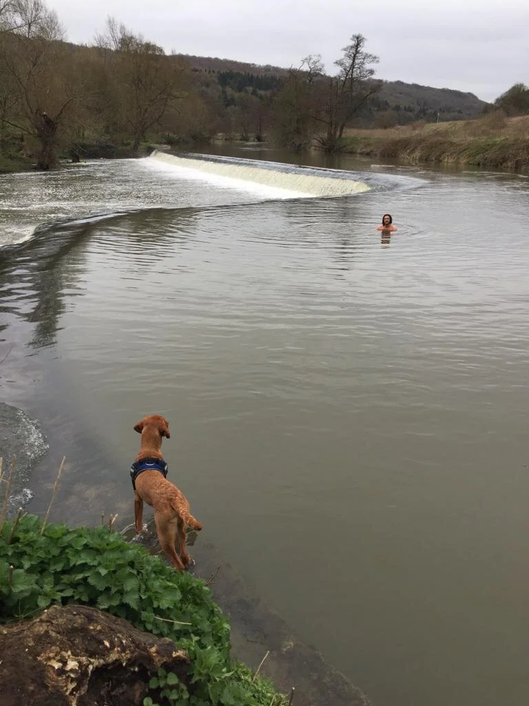 Jamie swimming at Warleigh Weir in march