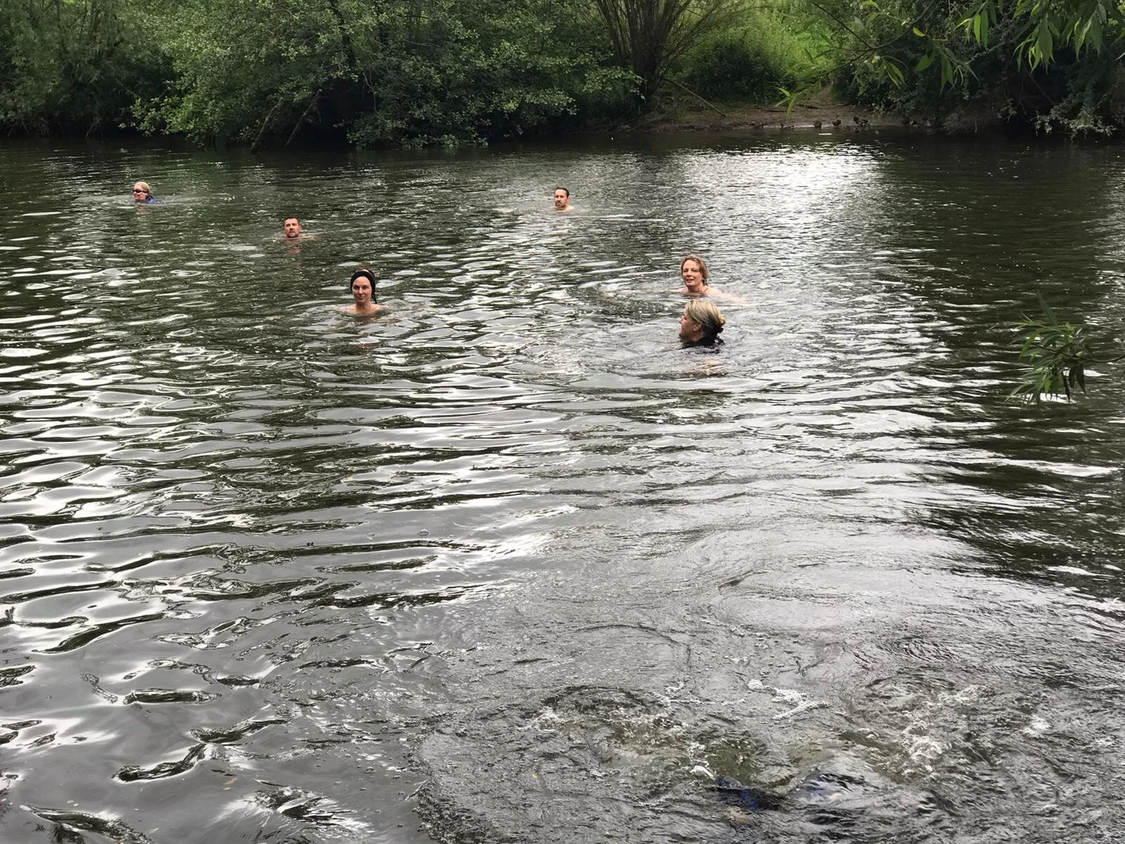 Wild Swimming taster