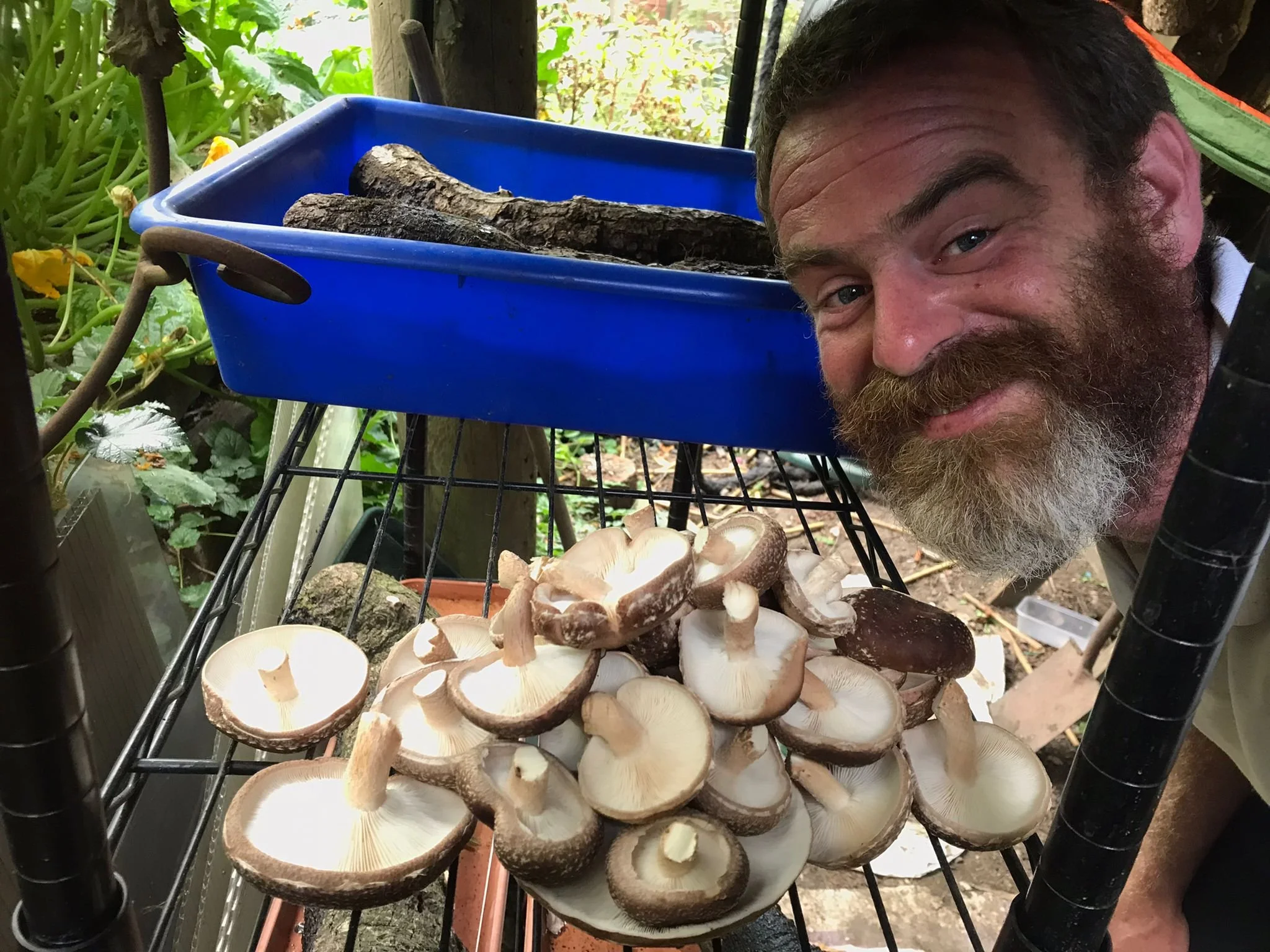 How to grow your own mushrooms by local resident Phil Rogers
