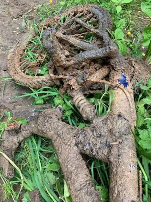 once a bike.jpg