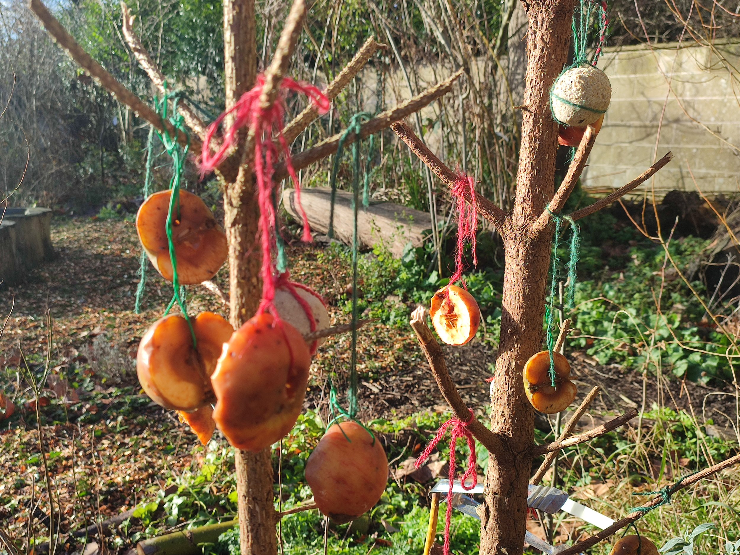 FG bird feeders2.jpg