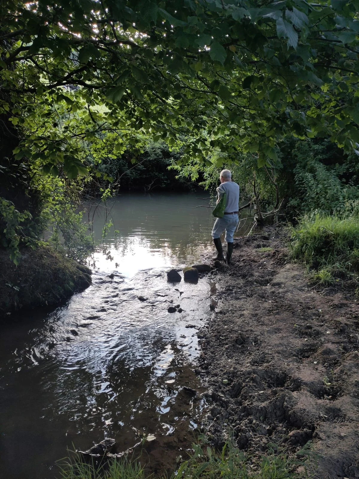 From the river to the trees