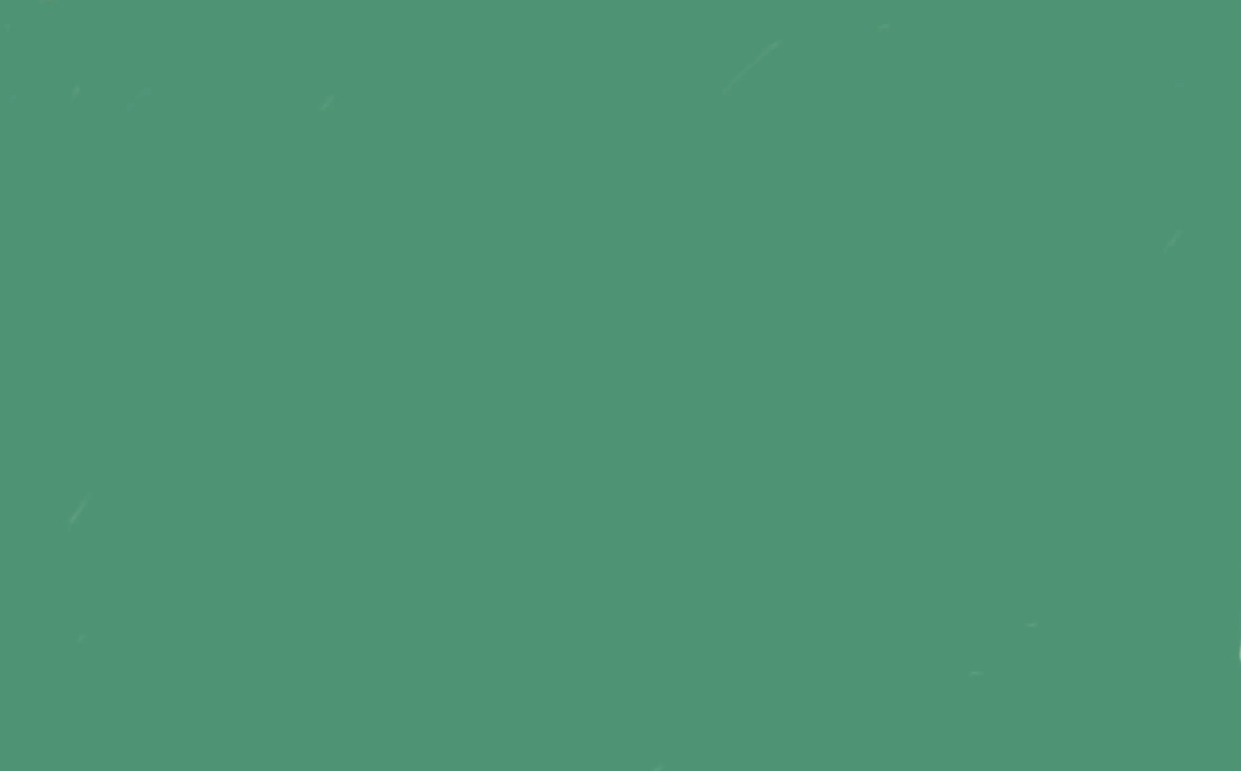 light-green-banner.jpg