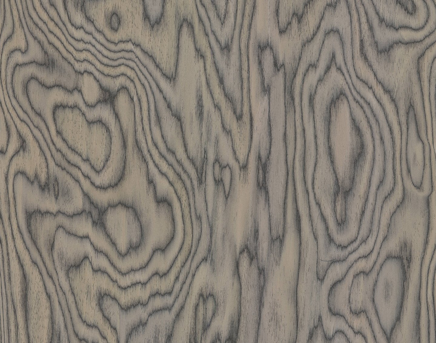 Folding Screen 'Separe' Room Divider 9.jpg