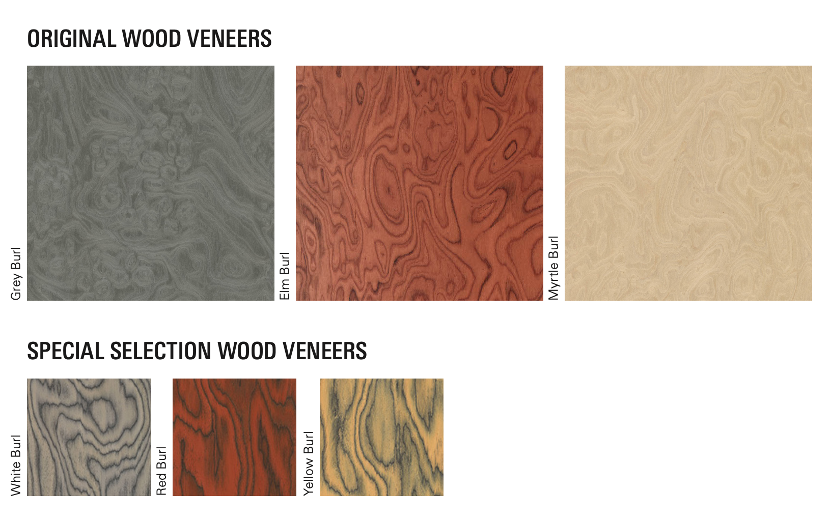 options selected veneer.png