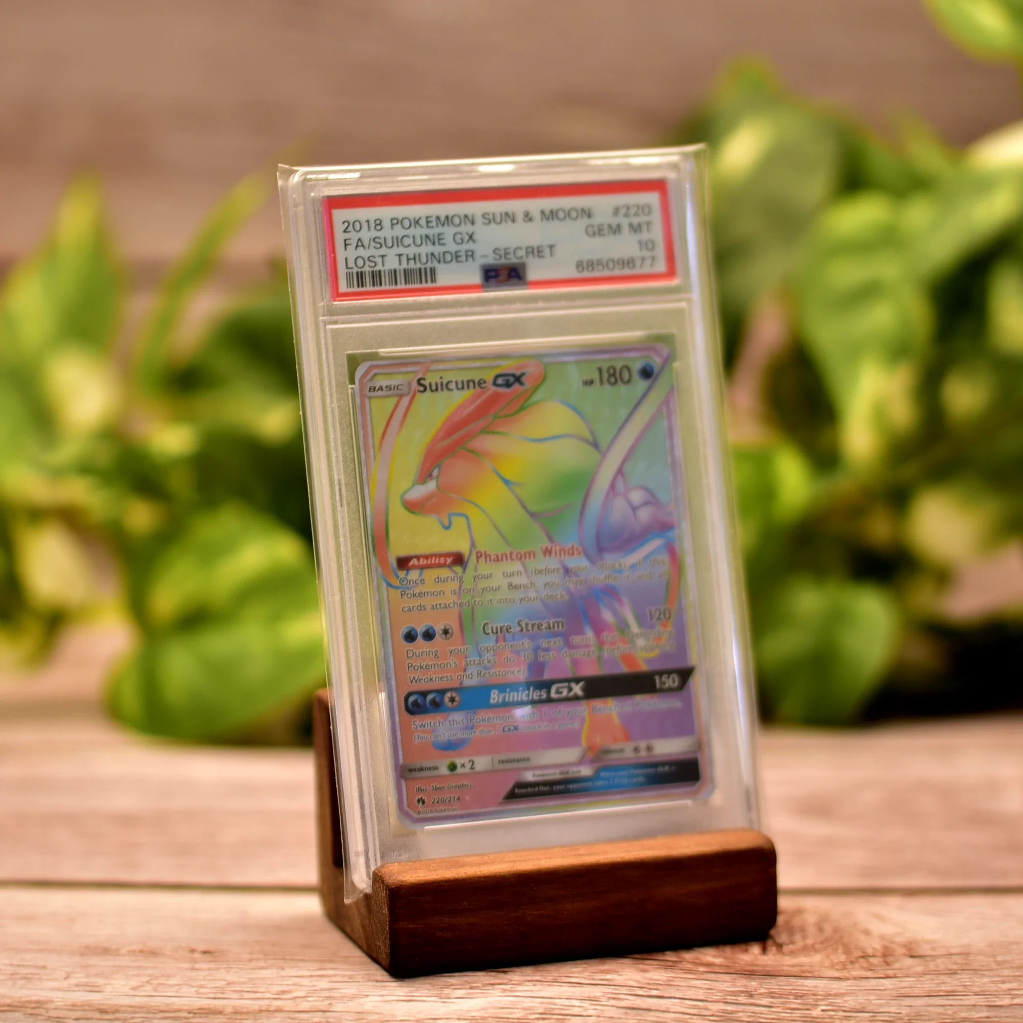small_wooden_stand_pokemon2.webp