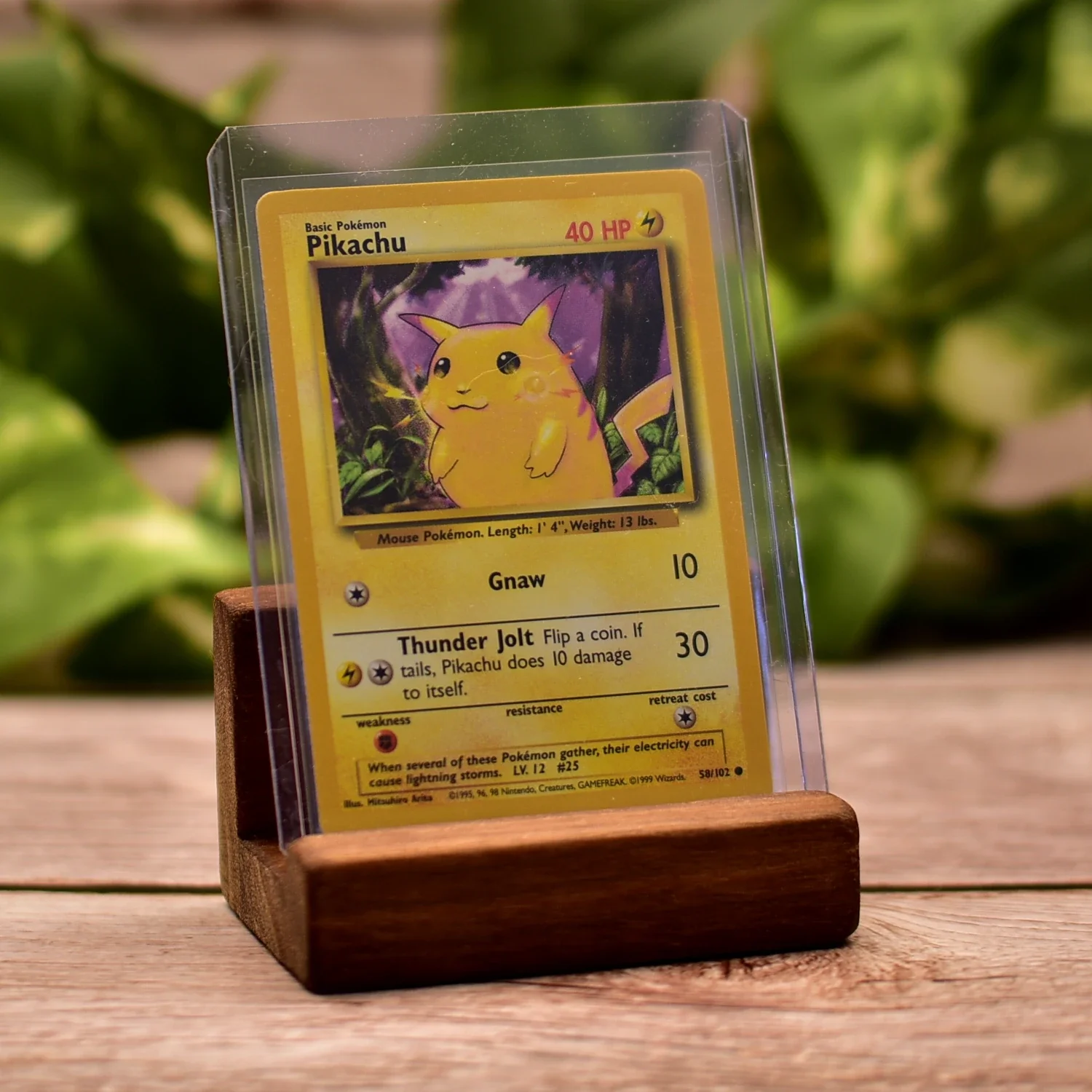 small_wooden_stand_pokemon1.webp