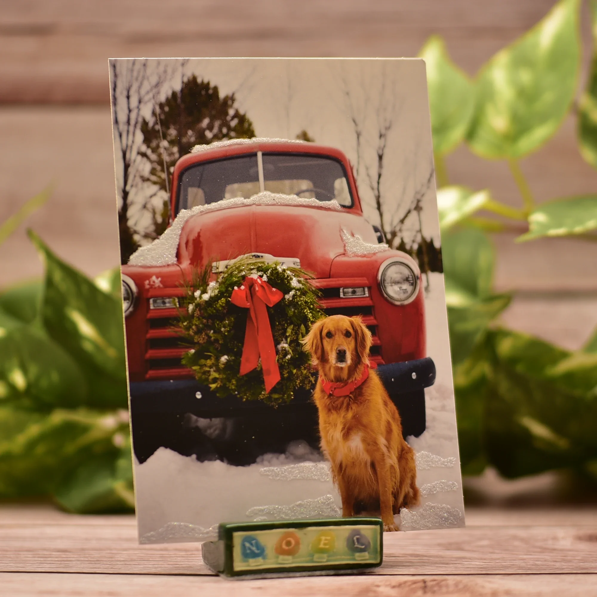 noel_stand_card.webp