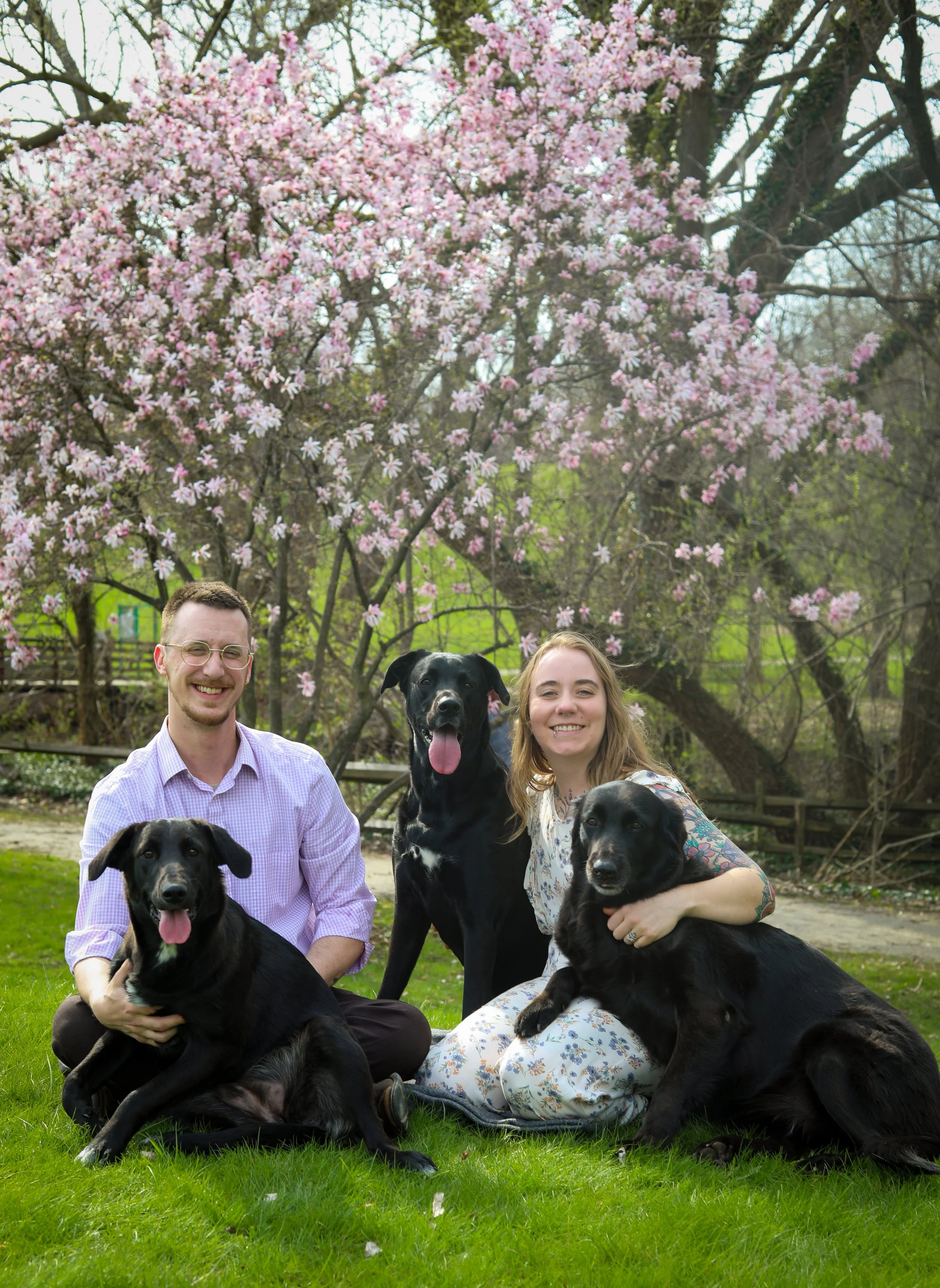 The Wise Family