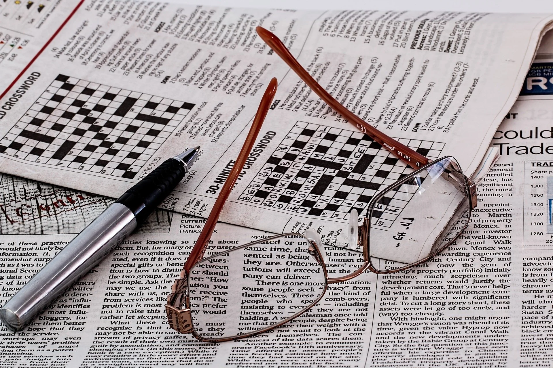 newspaper crossword pen