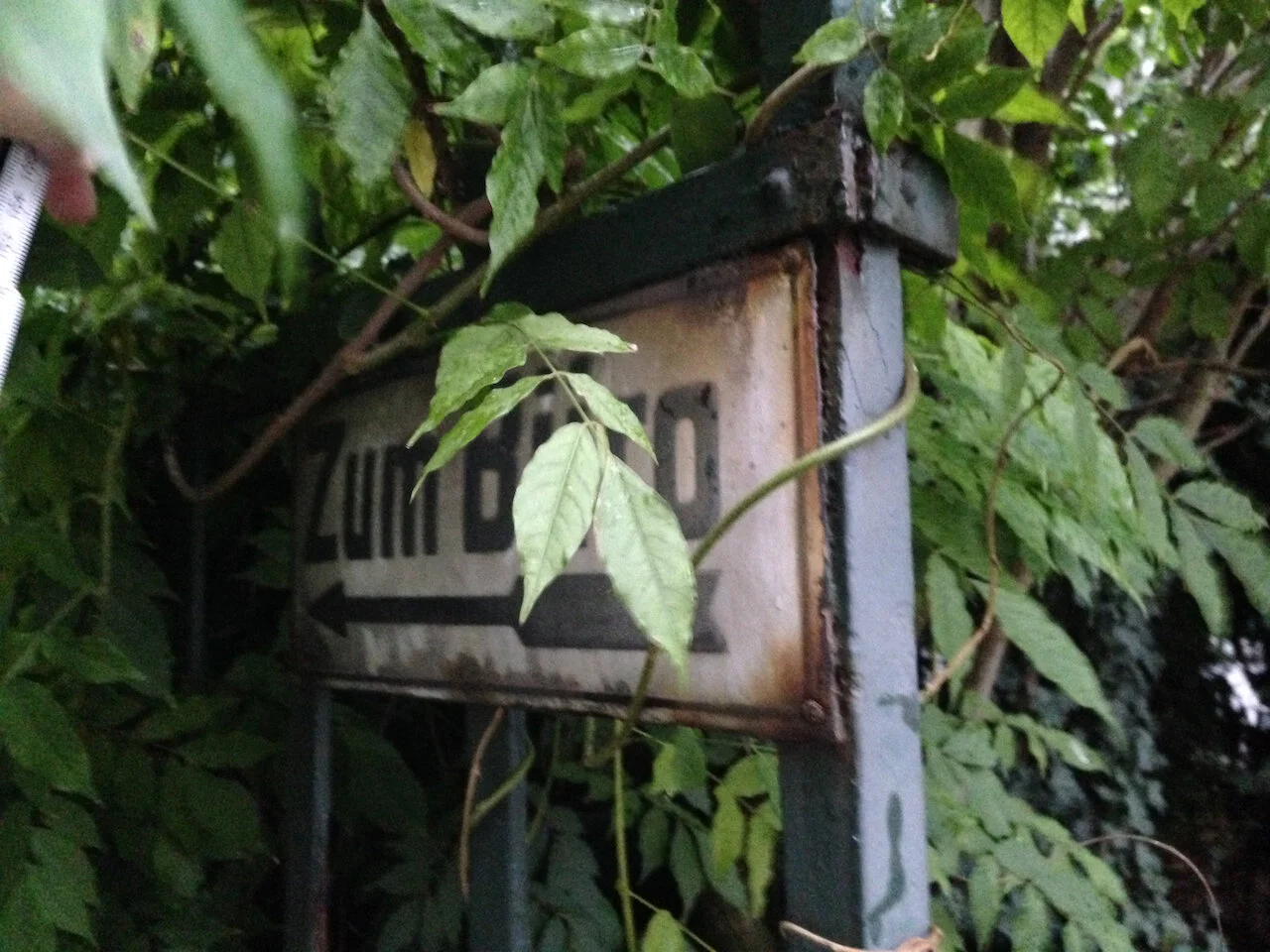 IMG_1805.jpeg