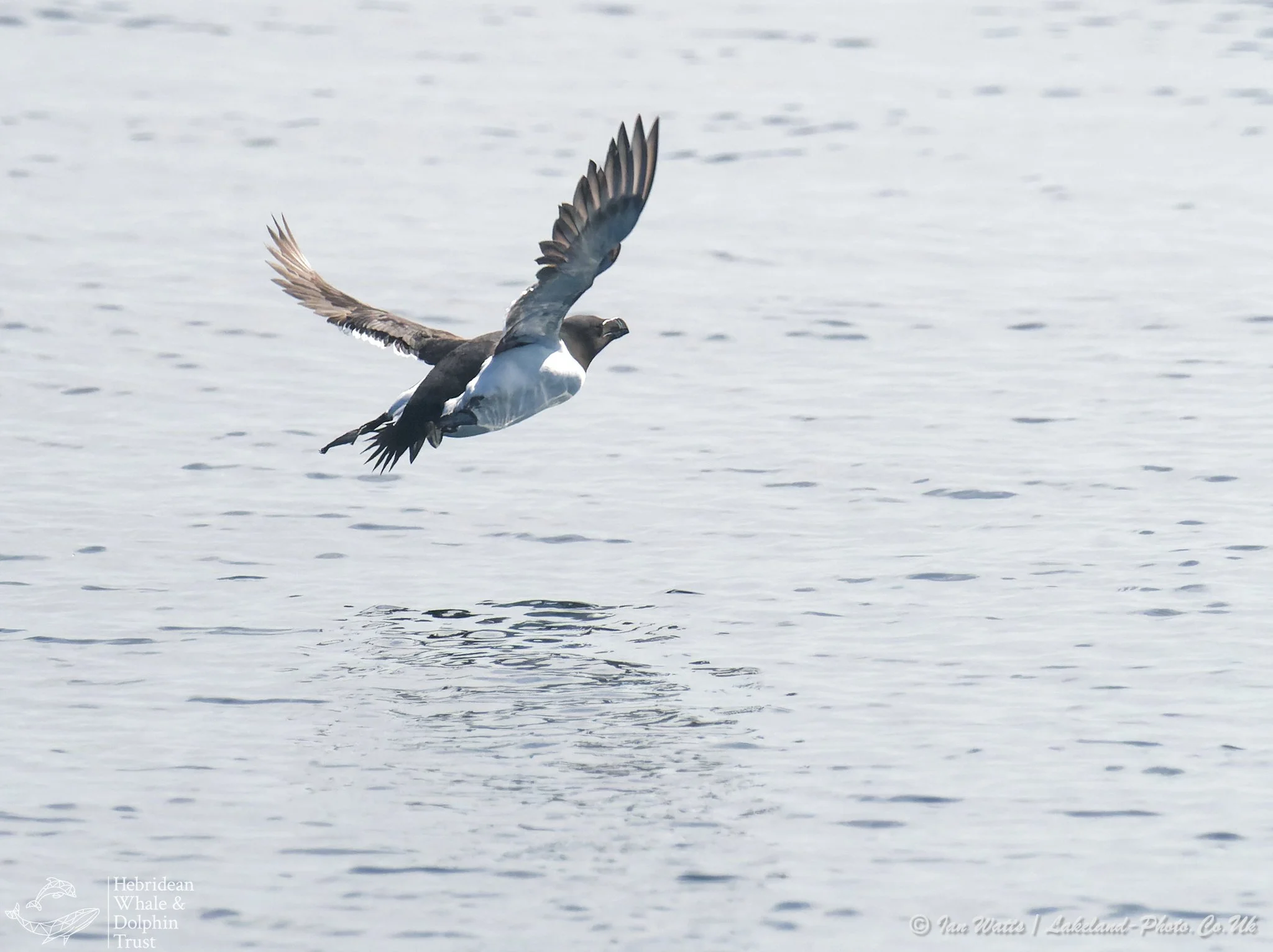 P5089871_DxO.tif.jpg
