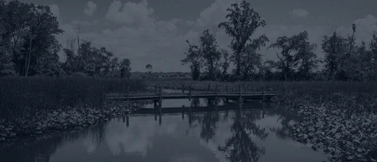 Environmental Banner.jpg