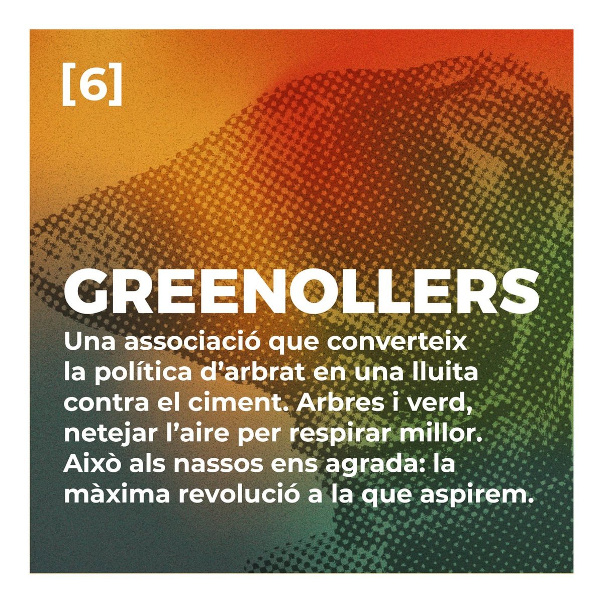 Greenollers-2.jpg