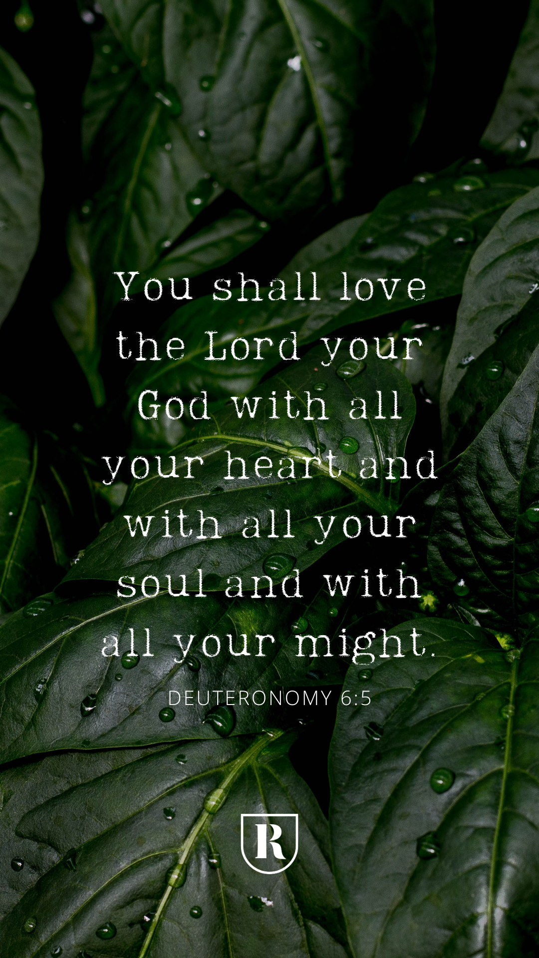 Scripture Memory-5.png