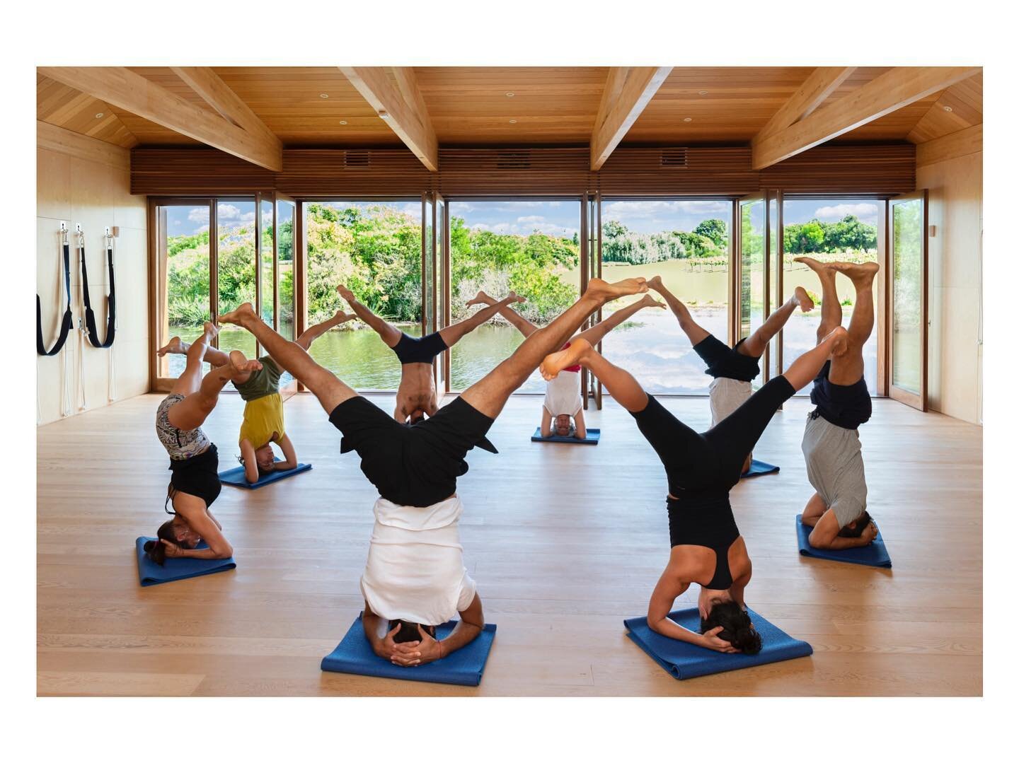 Group yoga session last summer in Las Musas Yoga Studio. 📸: @susettekok 
#dream #lasmusas #yoga #joseignacio #uruguay #nature #retreats #yogaretreats #yogaretreat