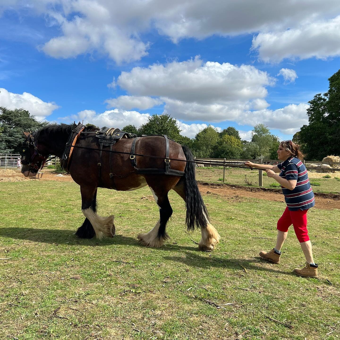 Happy Bank Holiday 

We&rsquo;ve been busy with Bridie this morning, if you don&rsquo;t already know, Bridie is a working horse who will be doing lots of work with us on the farm. We can&rsquo;t wait to show you all. 

We are open Monday 10-5pm, last