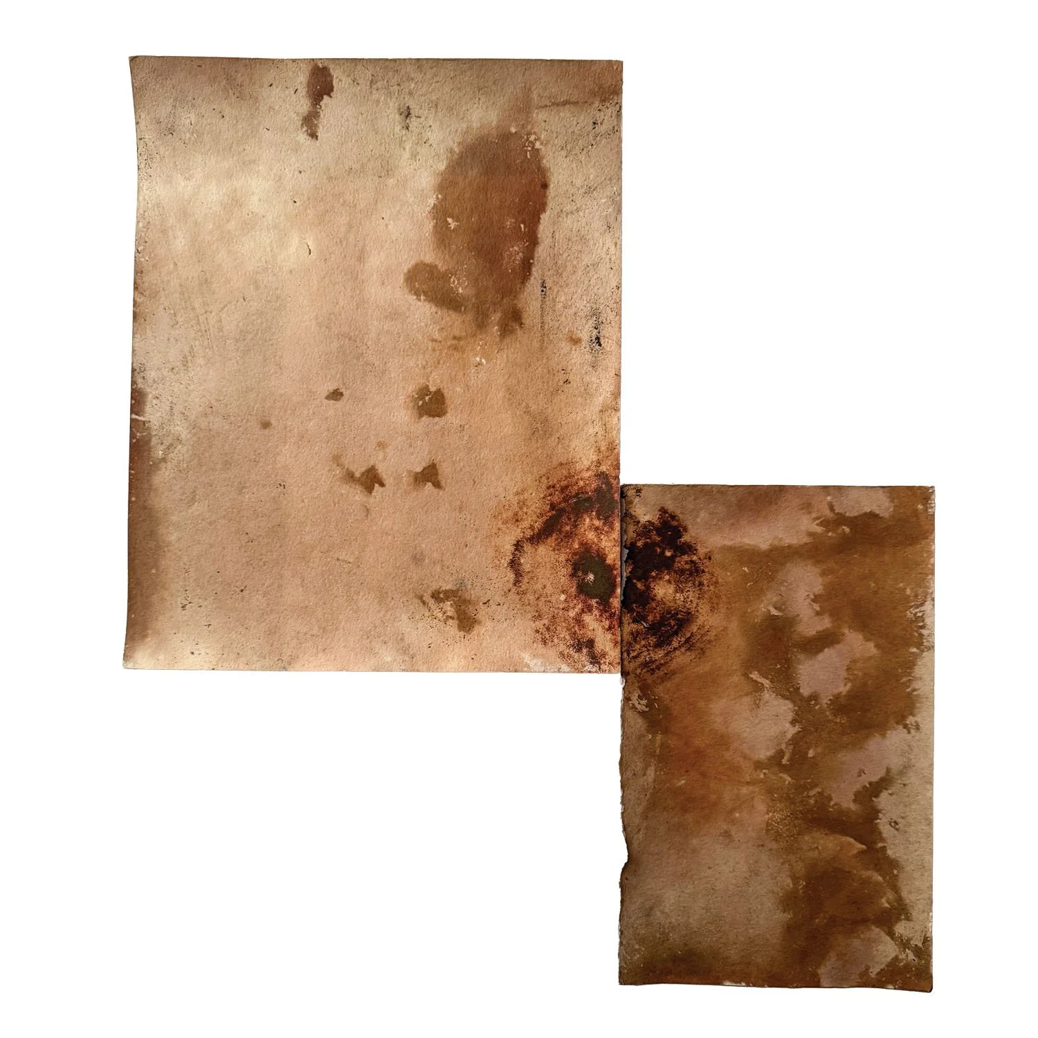 Wood North on white sq web LG copy.jpg