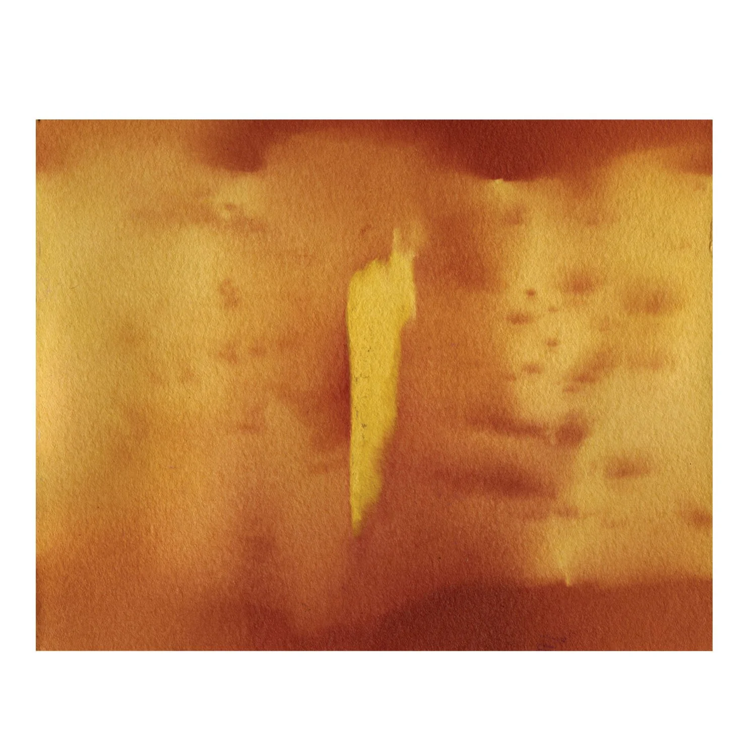 Bark Lens on white sq web LG copy.jpg