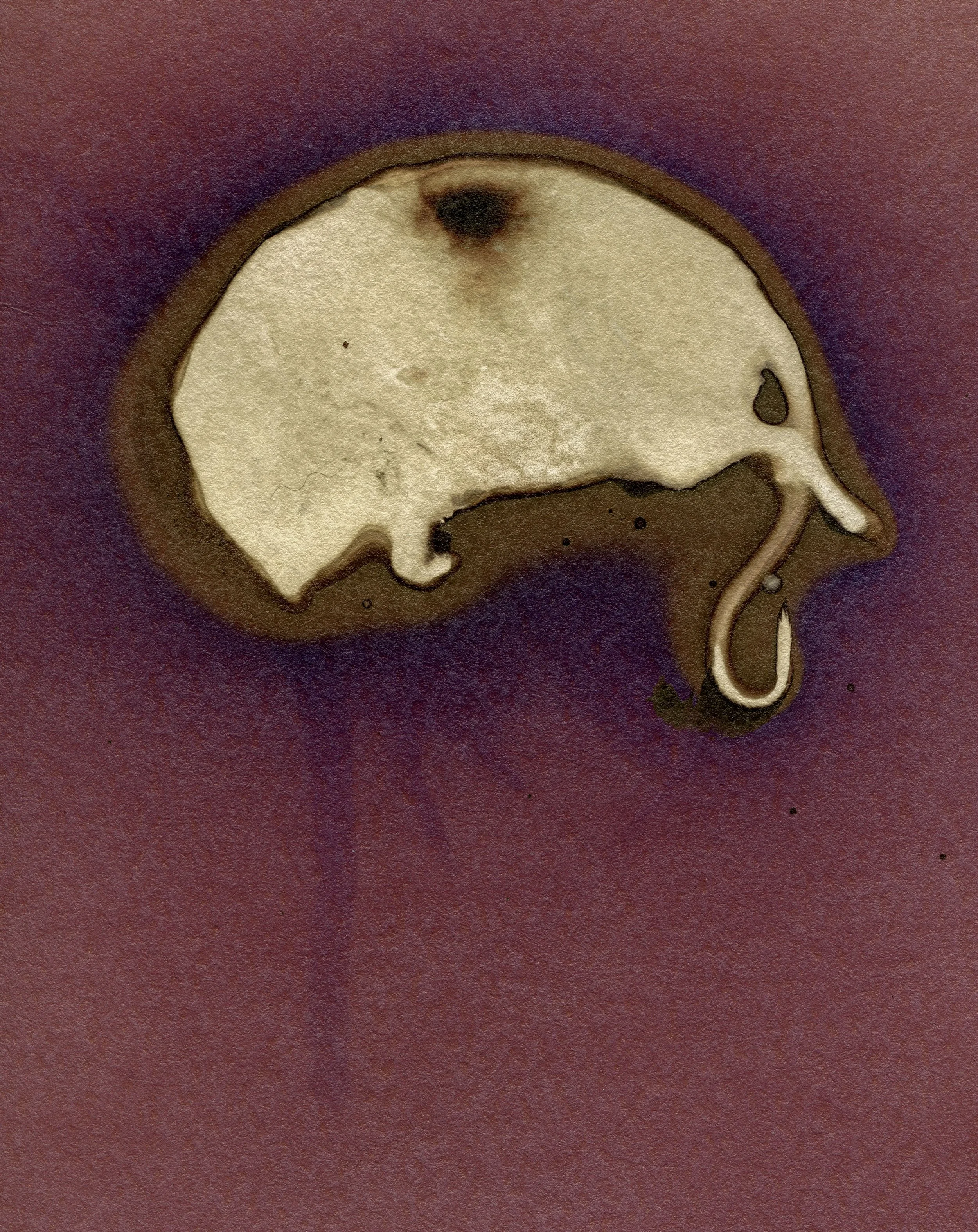 7 flat mouse 2 Crop copy.jpg