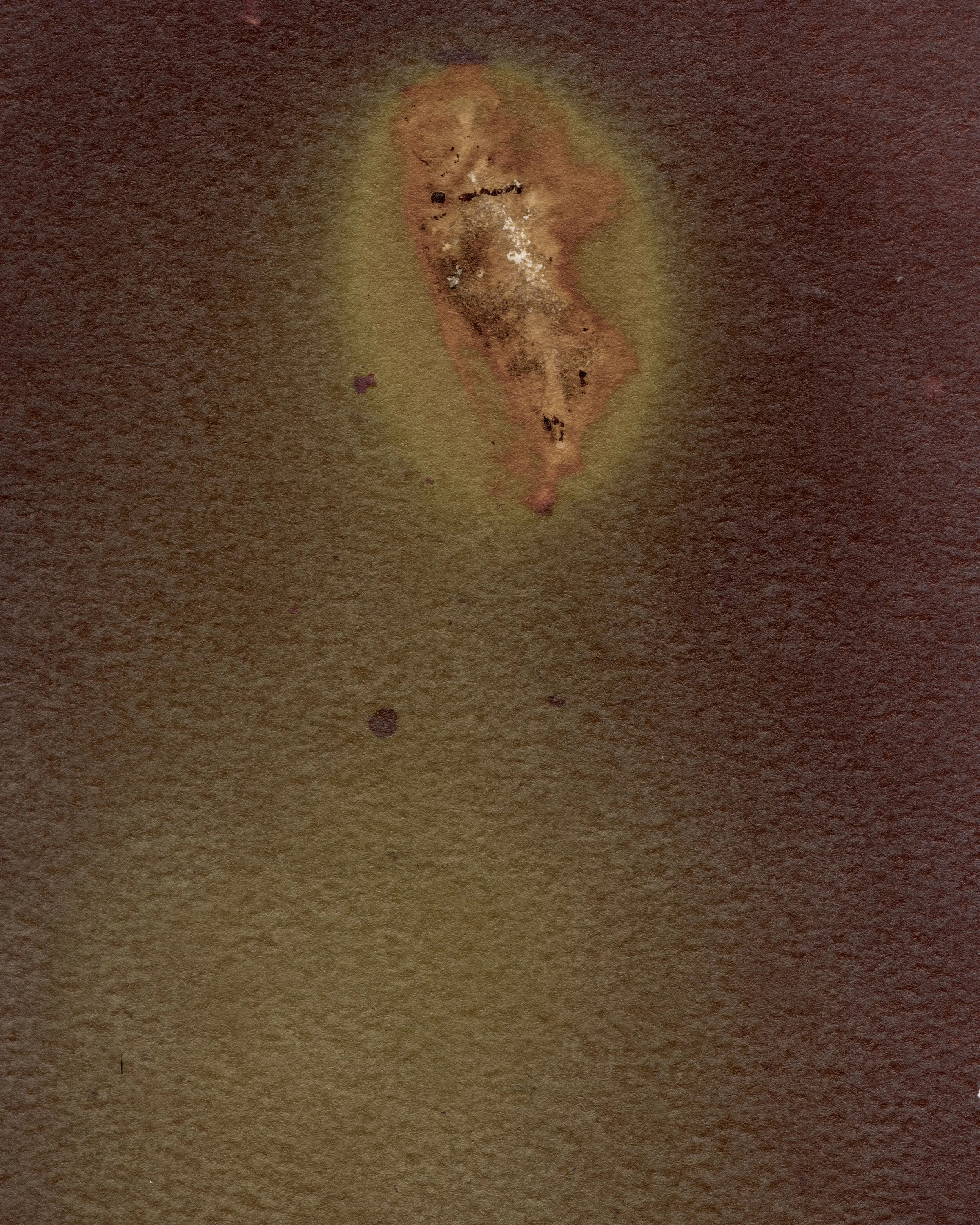 8 Fish 2  Lumen fixed01 Crop copy.jpg