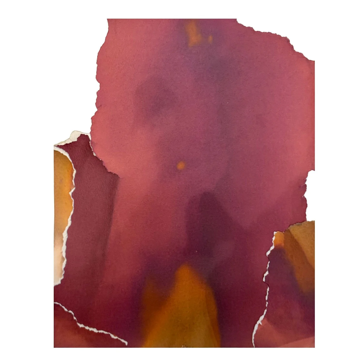 Log Light on white sq web.jpg