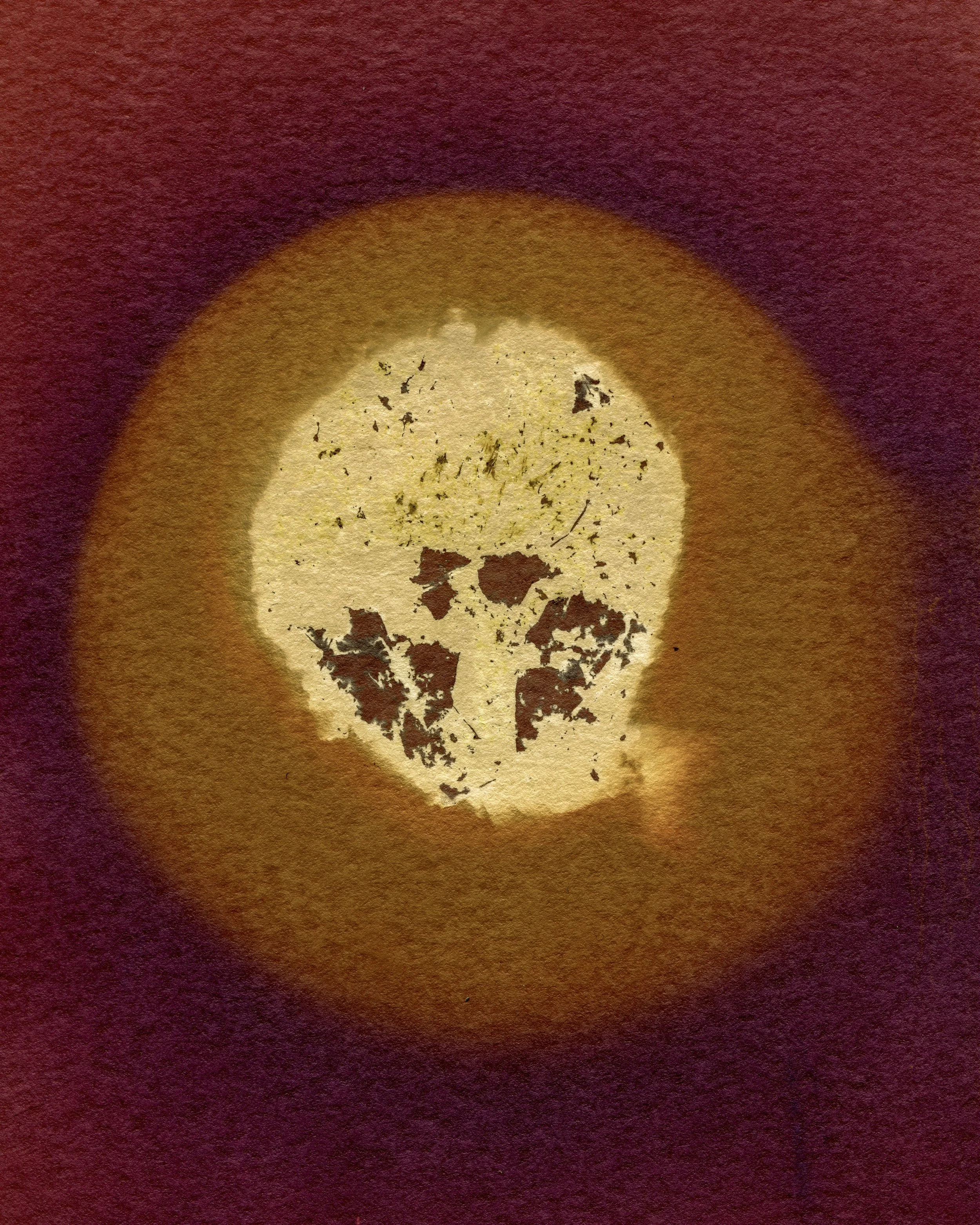 4 Mushroom  fixed01 Crop copy.jpg