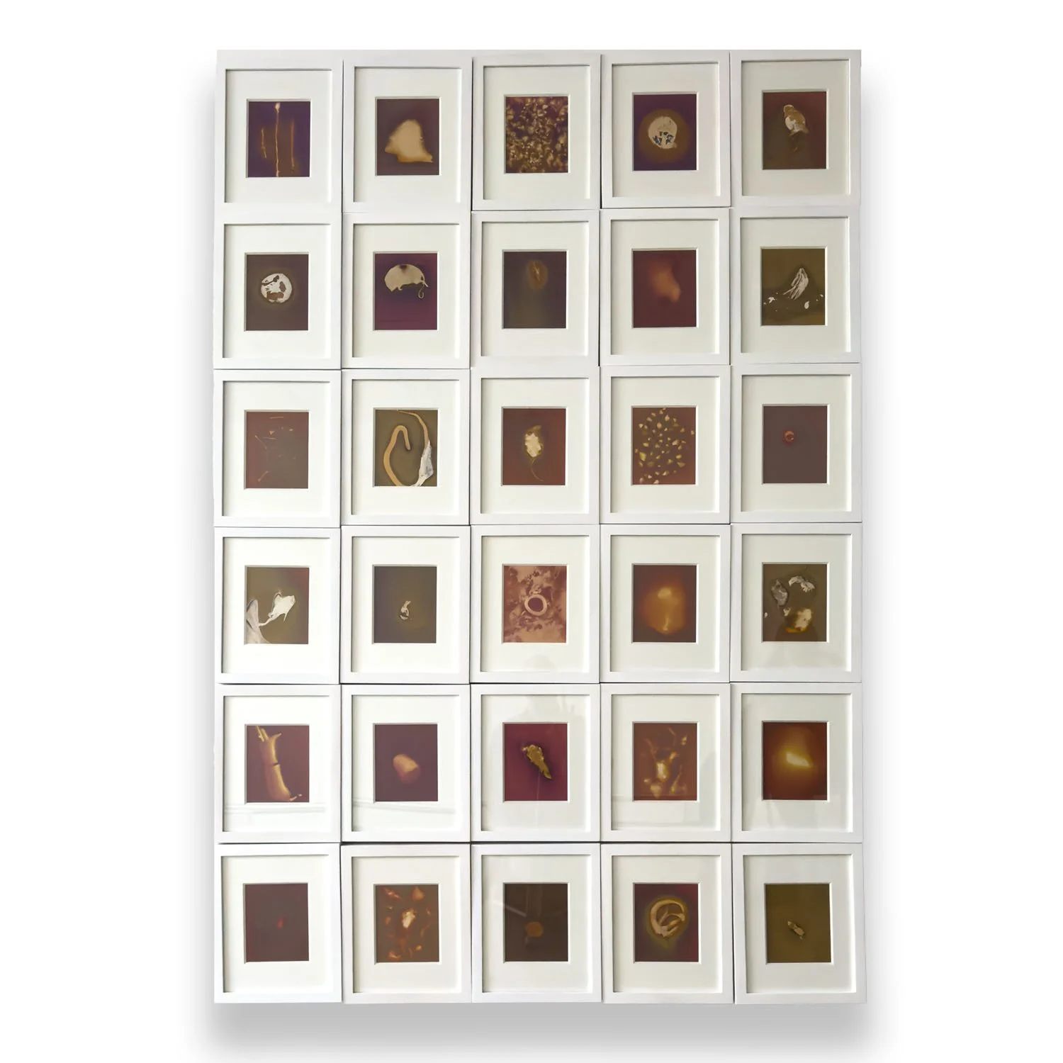 Animal, Vegetable, Mineral