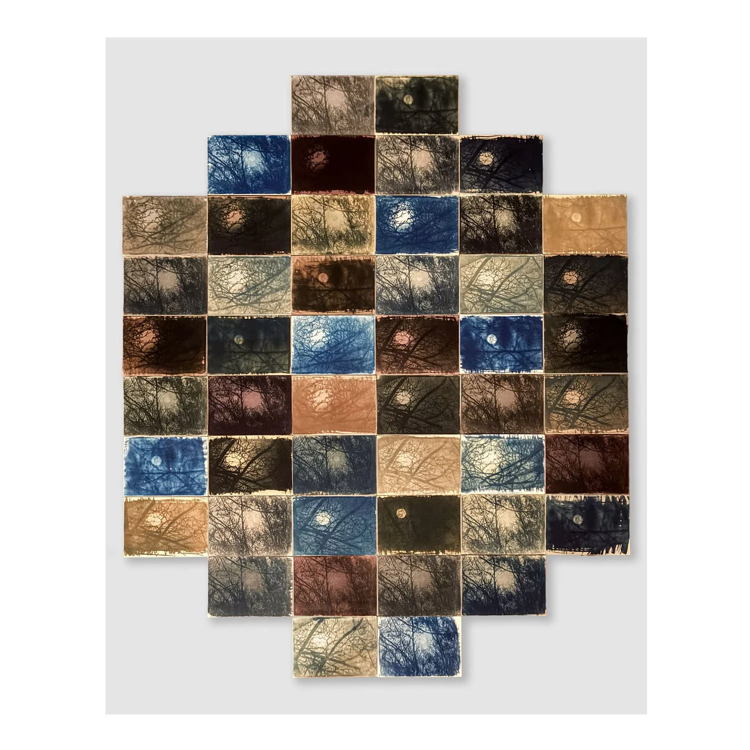 Forest viewing full Moon, botanical toned cyanotypes, 2024-26