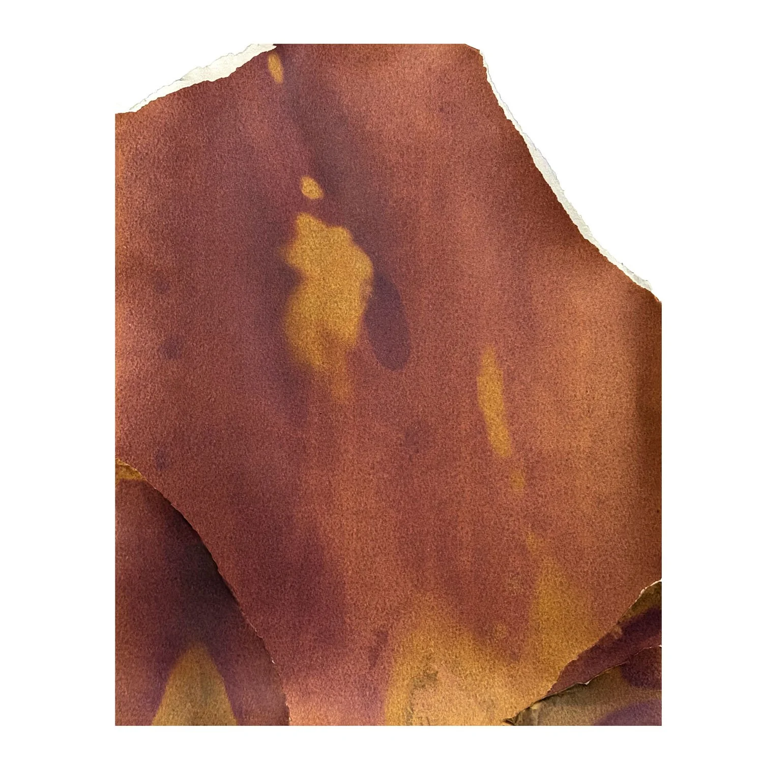 Log Light 16x20 on white sq LG copy.jpg