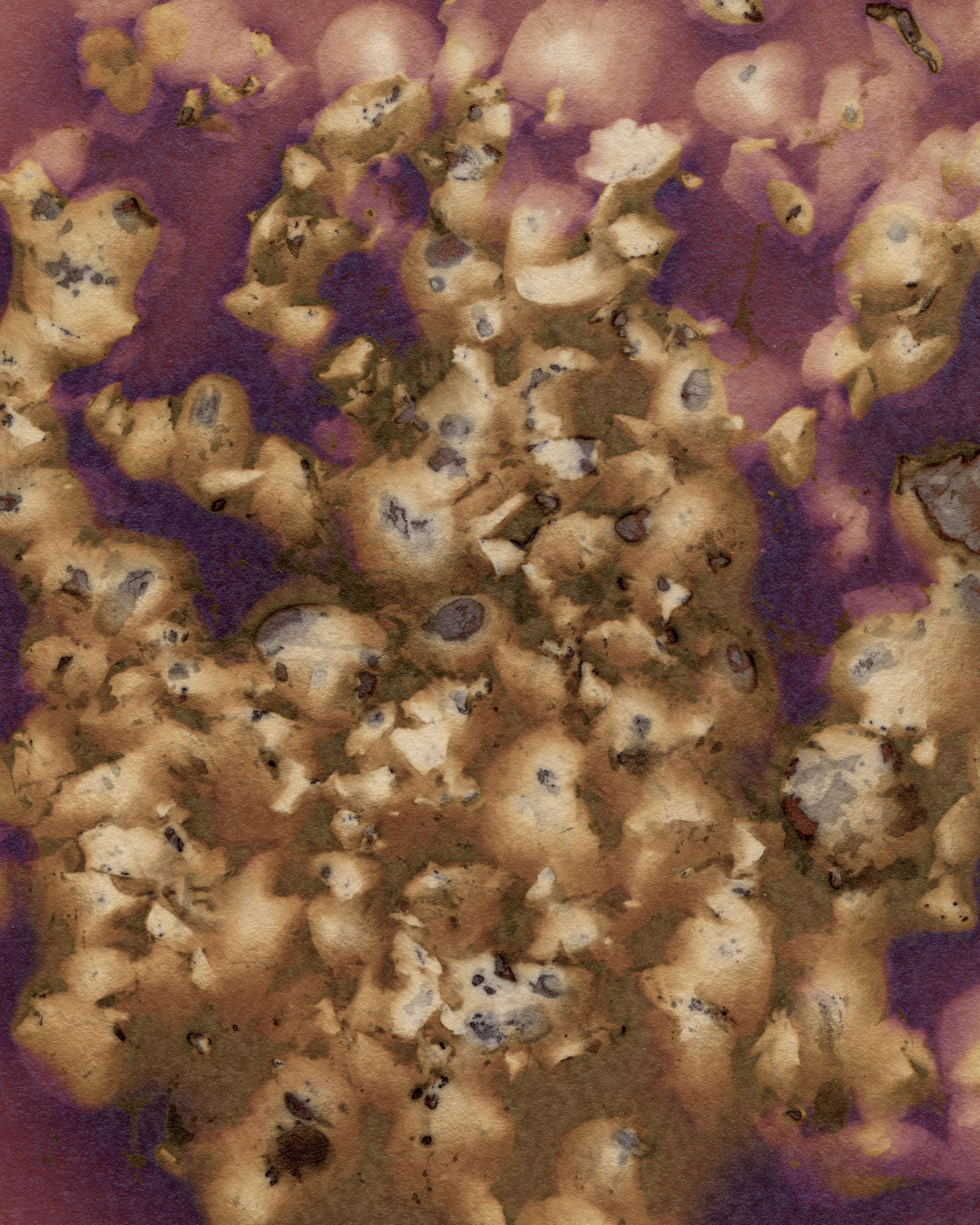 3 Acorn pieces from extraction boil Crop copy.jpg