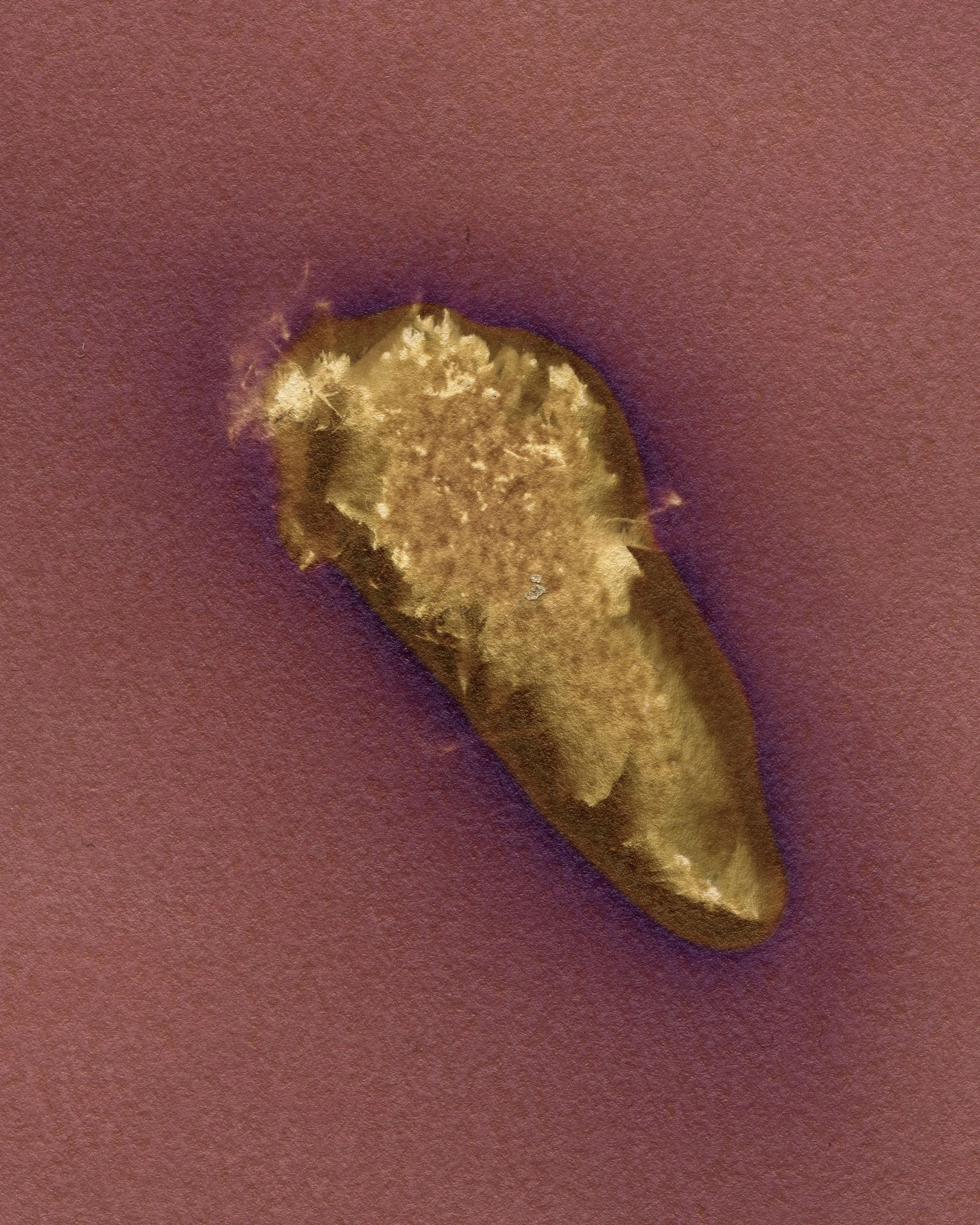 23 weathered mouse 2 Crop copy.jpg