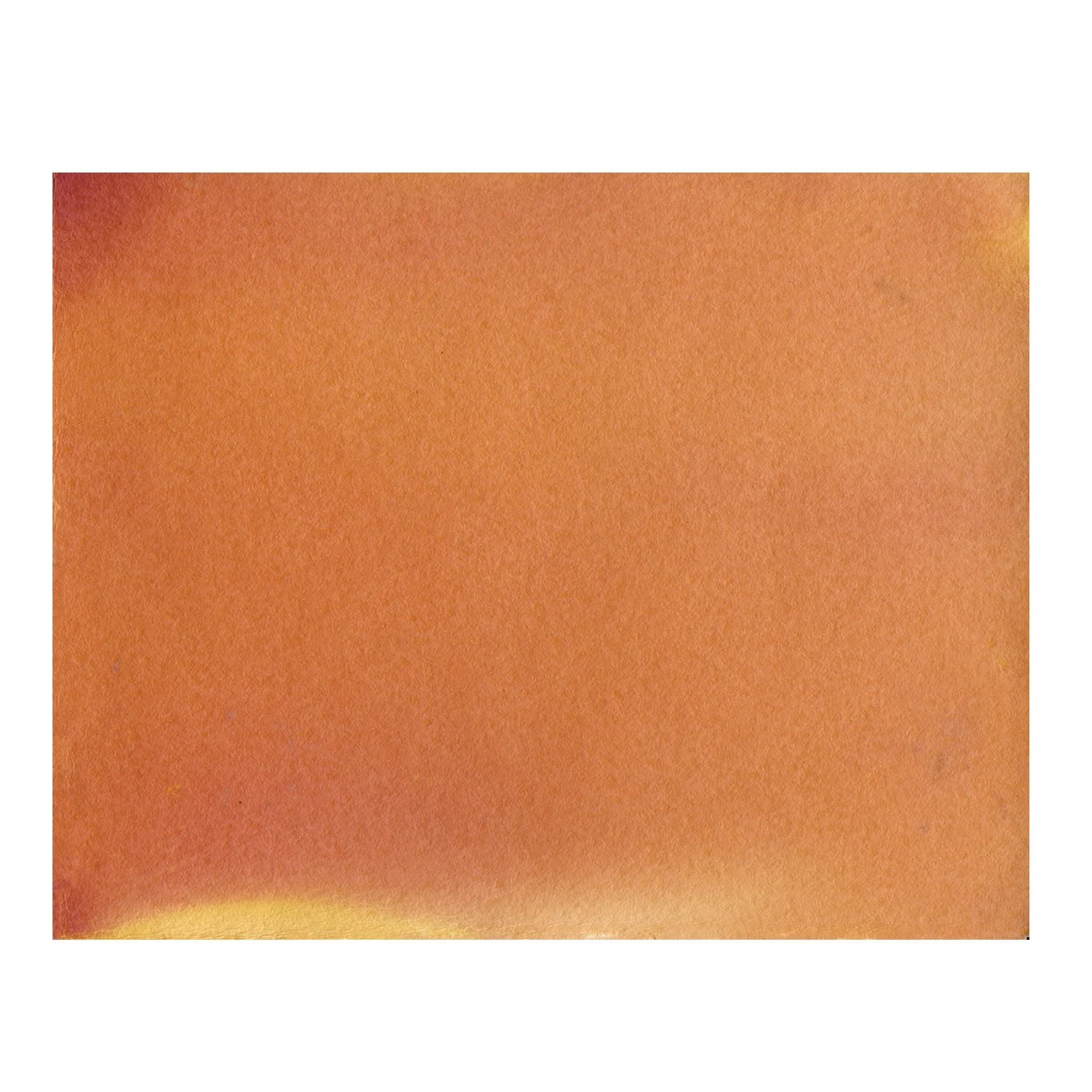 Inside the Woodpile on white sq web LG copy.jpg