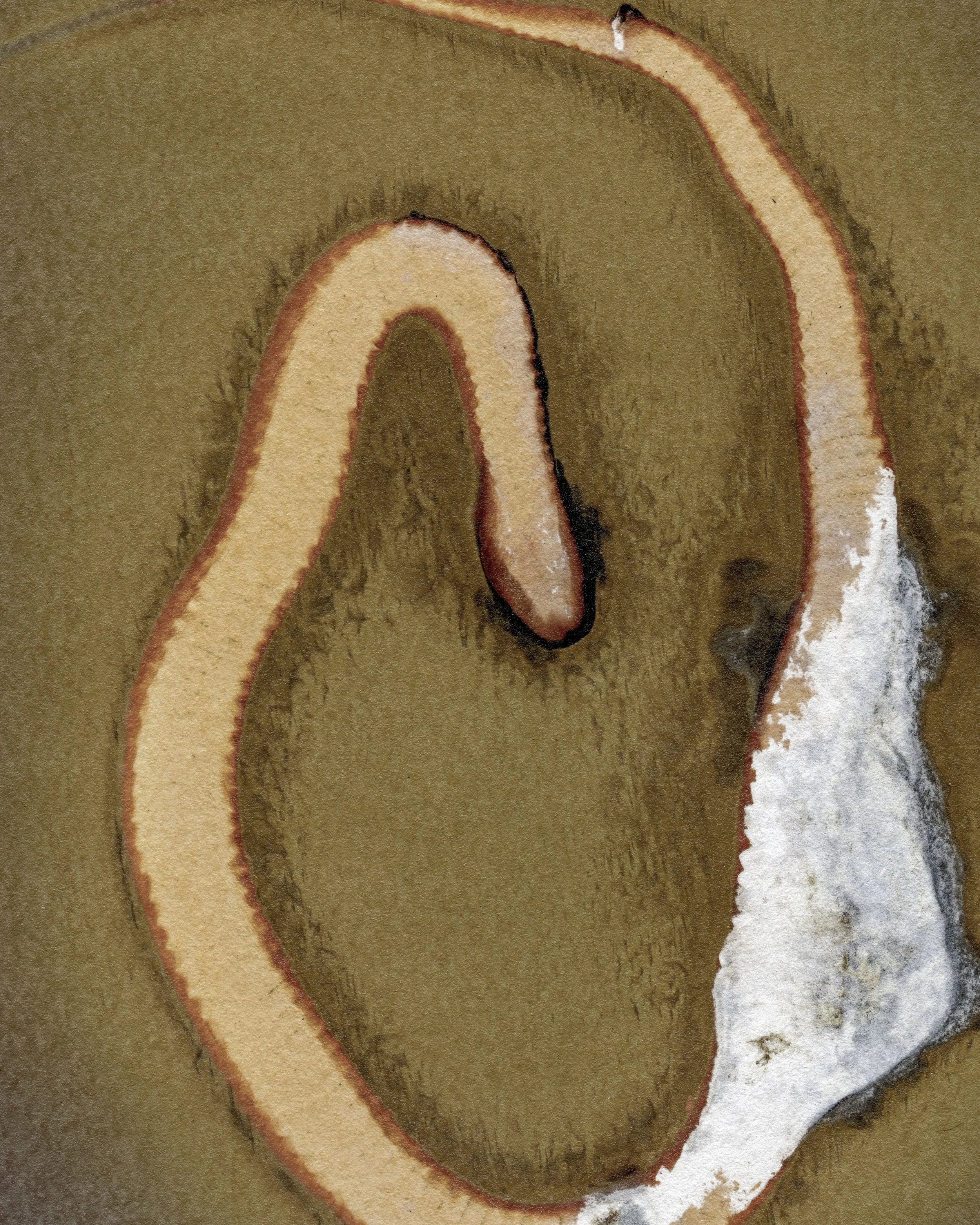 12 Snake fixed01 Edit 2 Crop copy.jpg